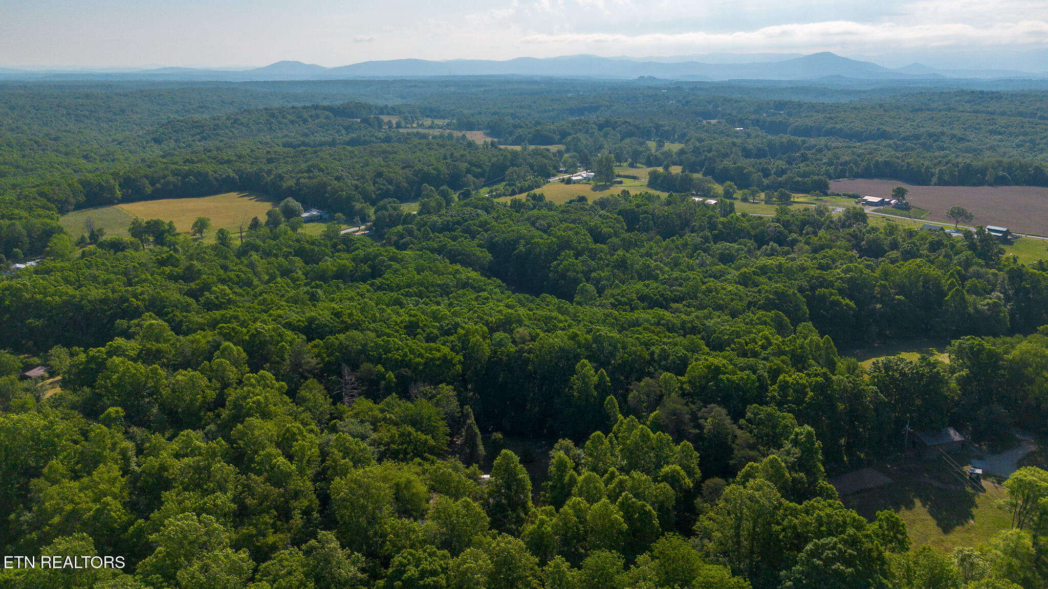 140 Walnut Street Deer Lodge TN 37726