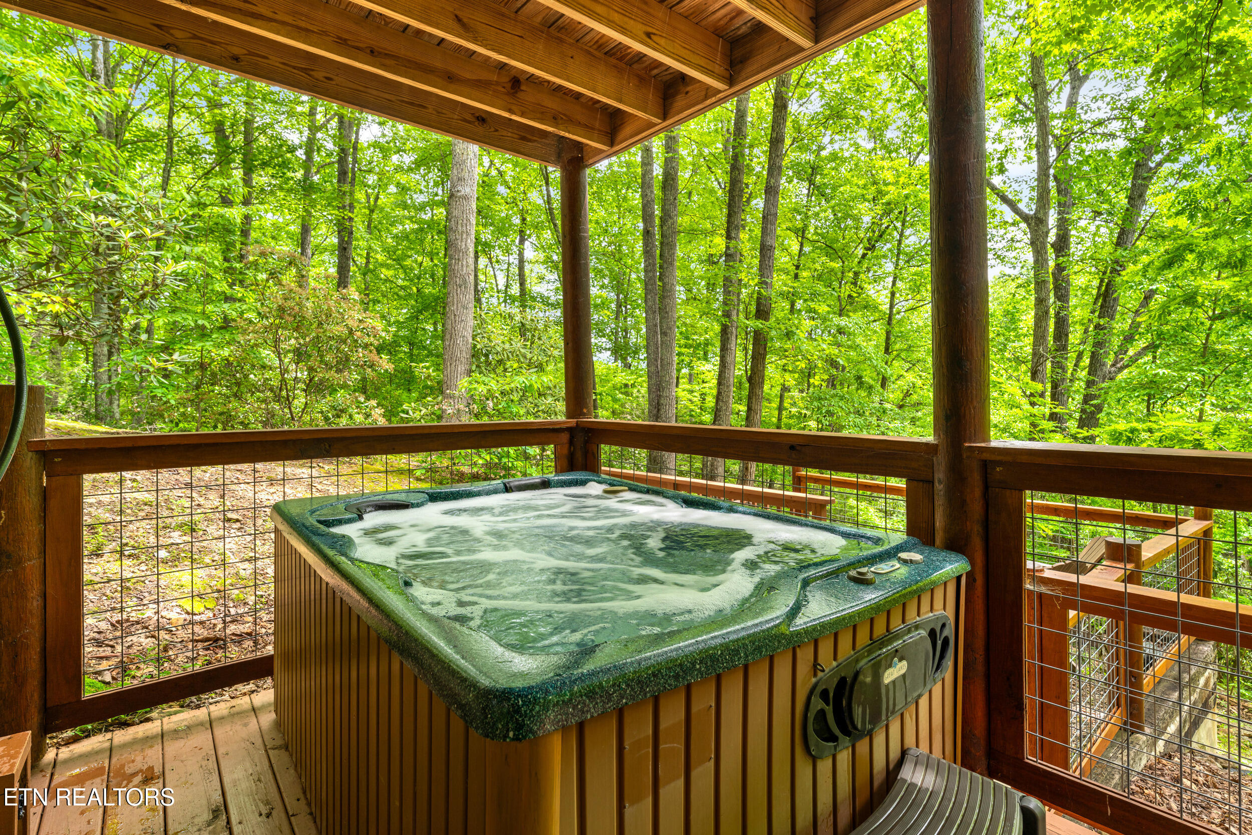 4230 Alyssa Way Gatlinburg TN 37738