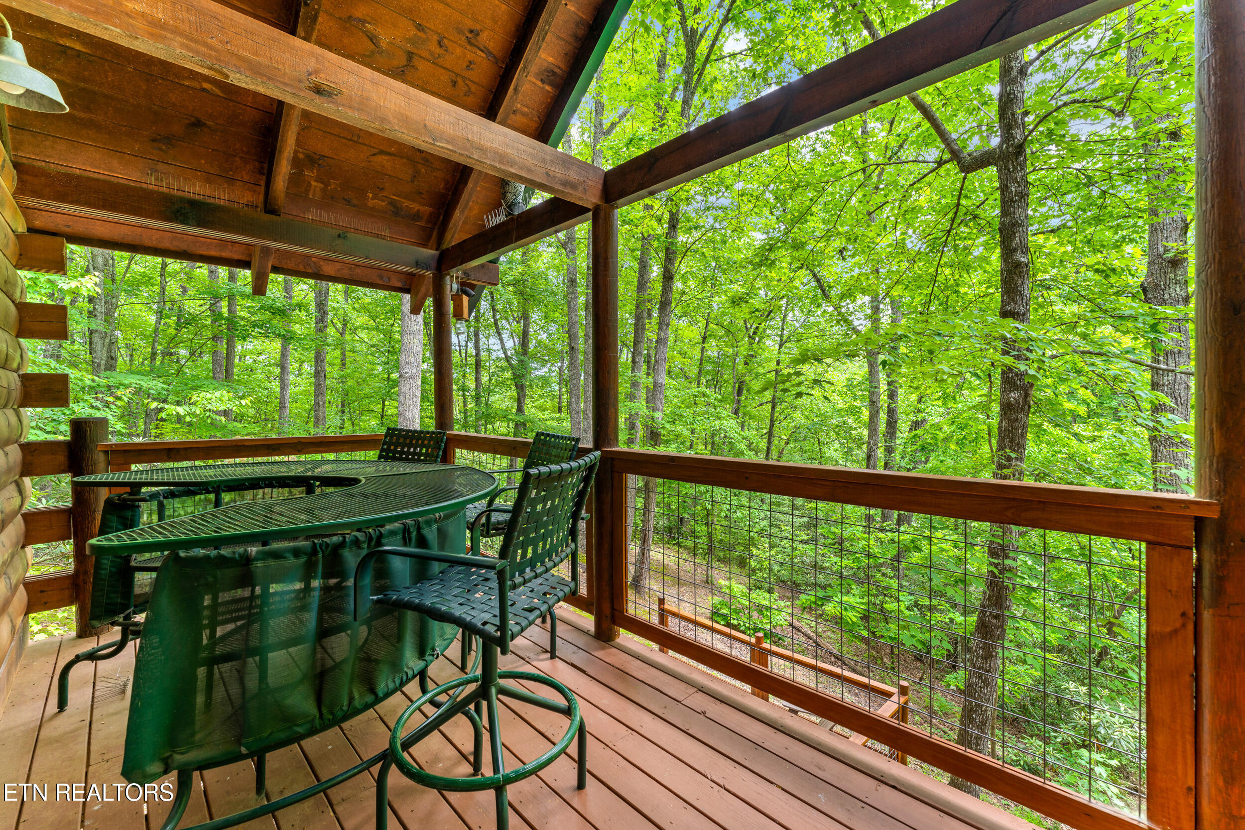 4230 Alyssa Way Gatlinburg TN 37738