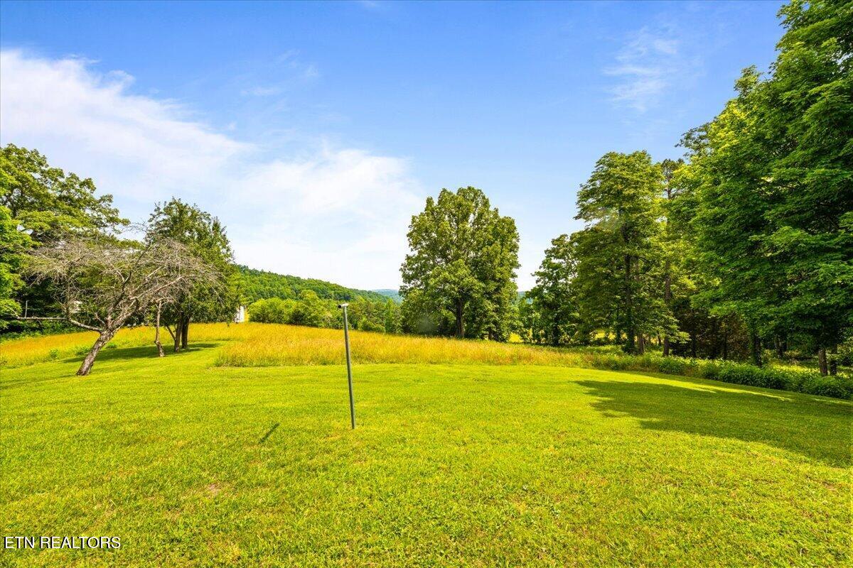 1476 Flat Hollow Road Speedwell TN 37870