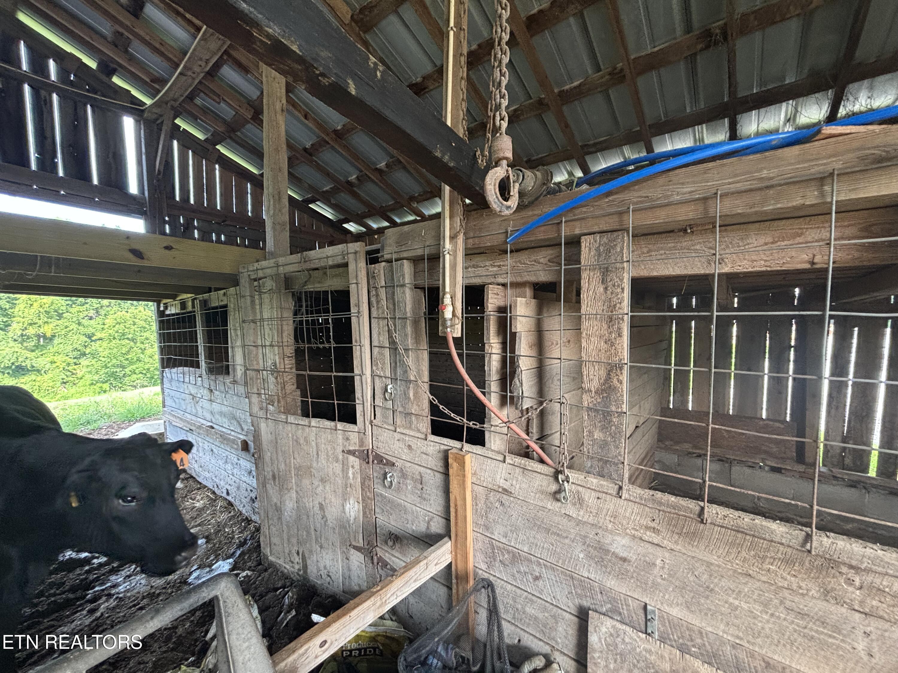 473 W High Knob Road Lafollette TN 37766