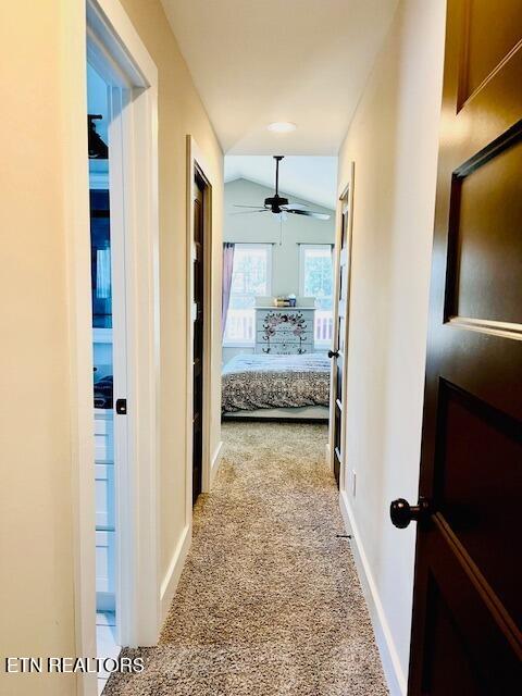 172 W Meeting Street Dandridge TN 37725