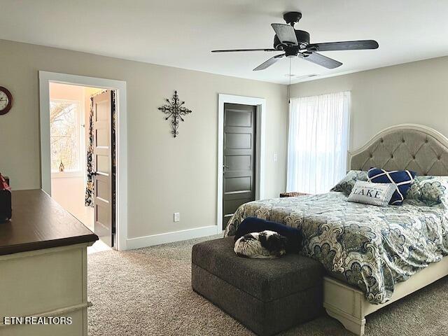172 W Meeting Street Dandridge TN 37725