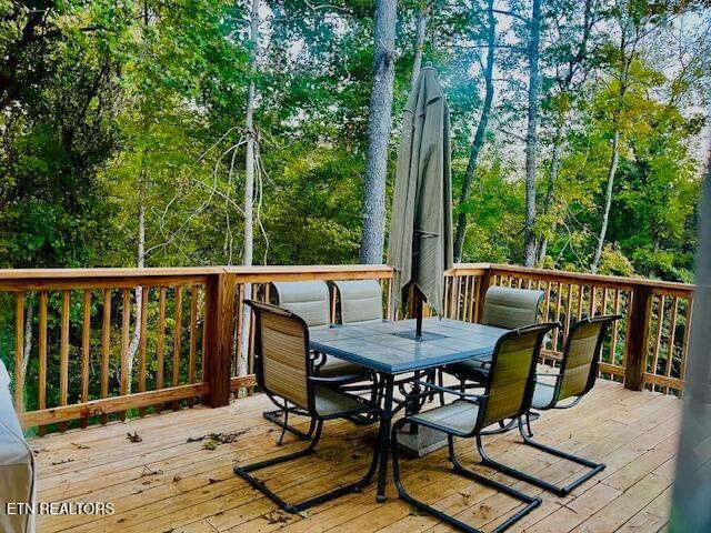 172 W Meeting Street Dandridge TN 37725