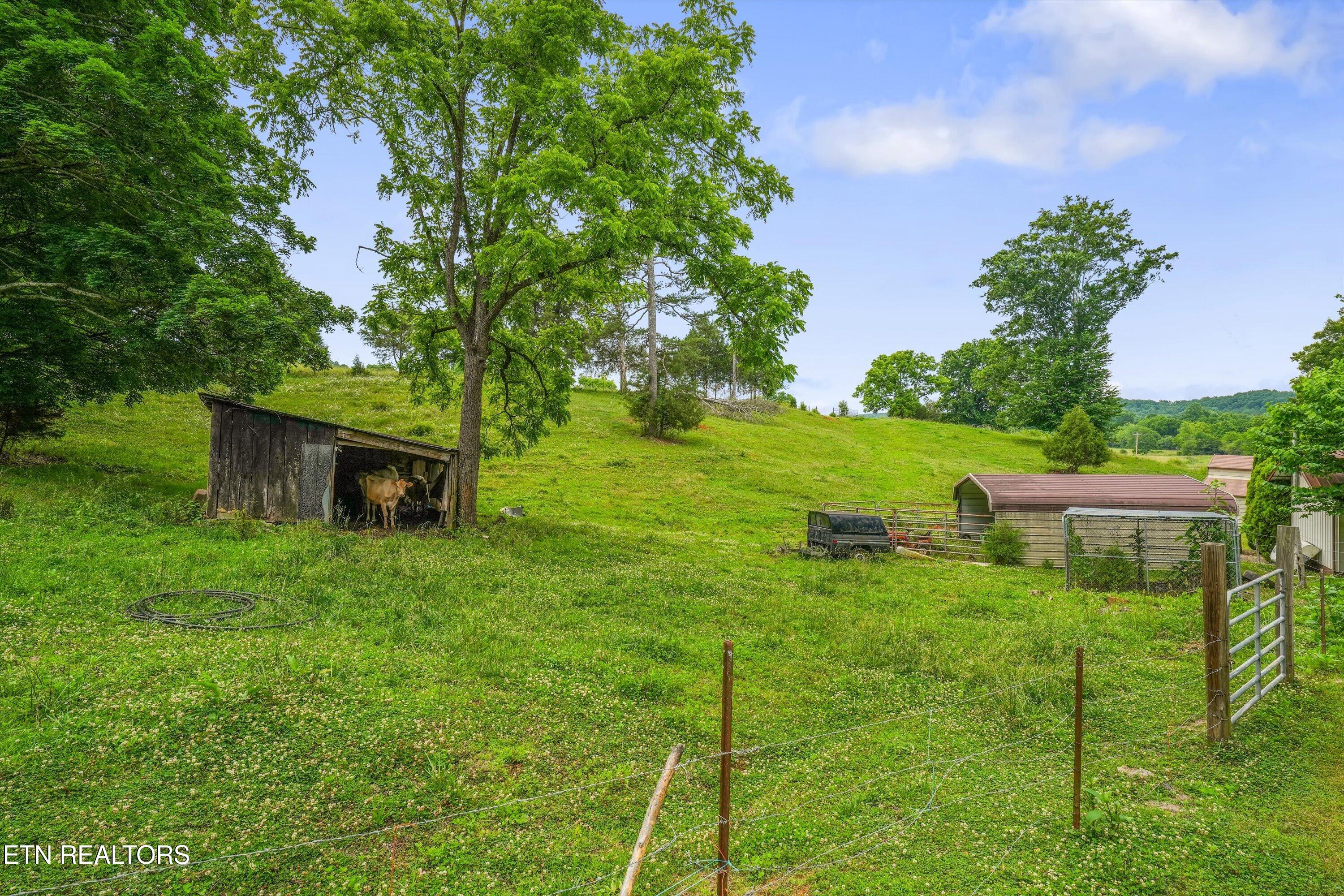 391 County Road 57 Riceville TN 37370