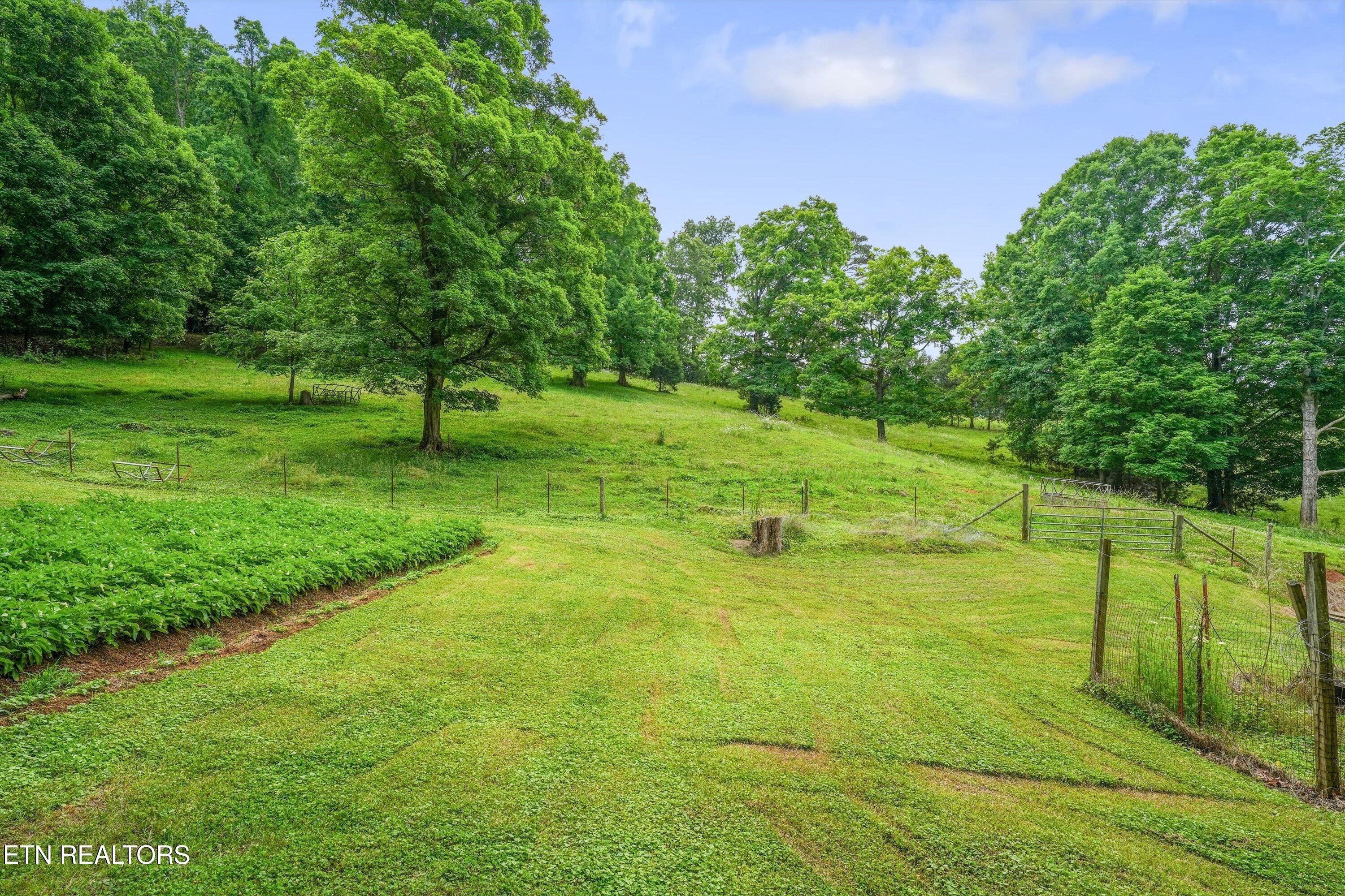 391 County Road 57 Riceville TN 37370