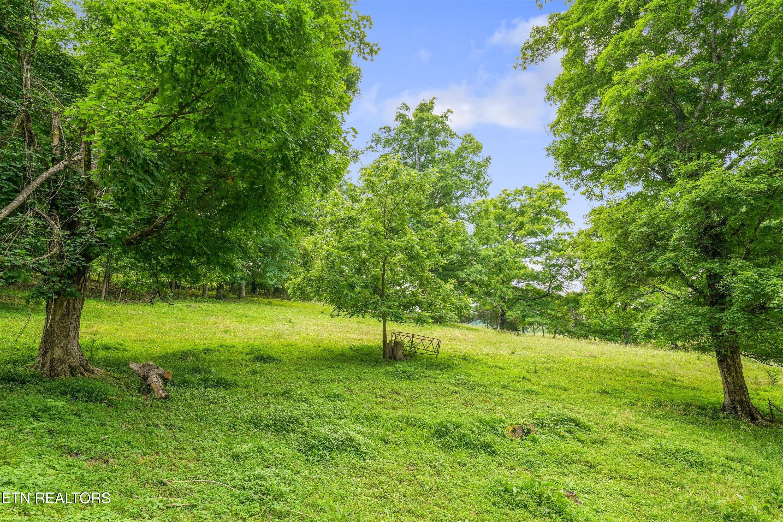 391 County Road 57 Riceville TN 37370