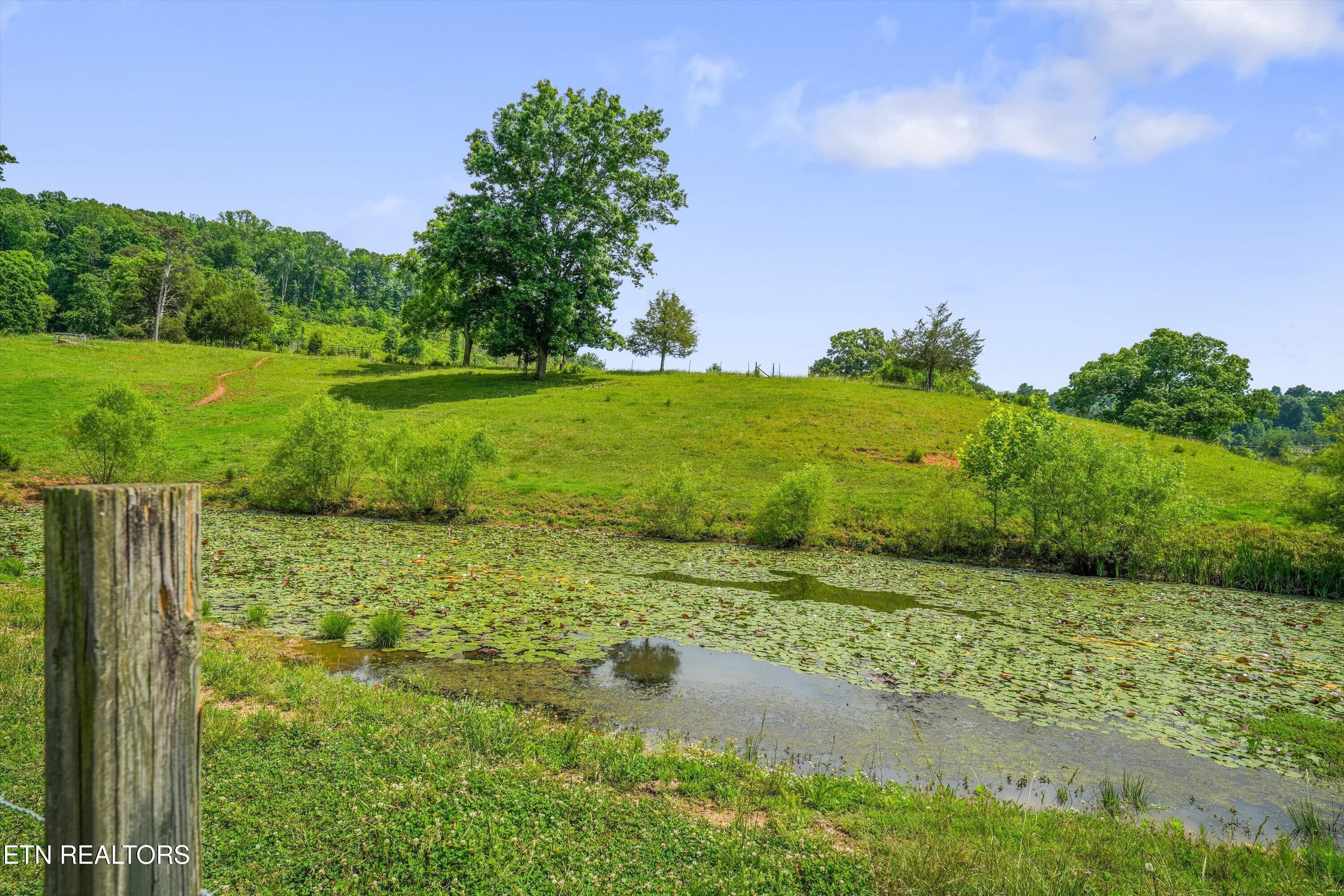 391 County Road 57 Riceville TN 37370
