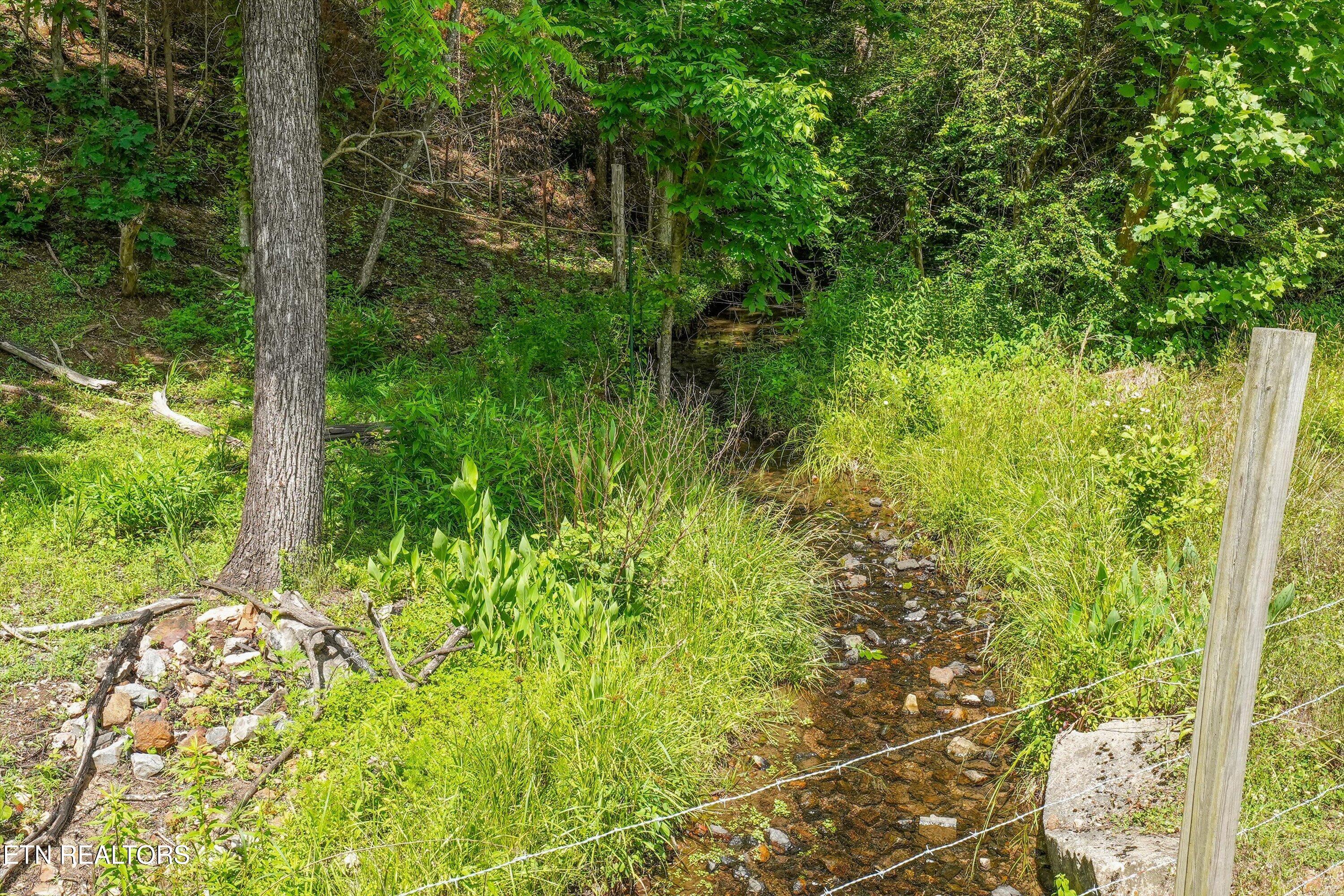 391 County Road 57 Riceville TN 37370
