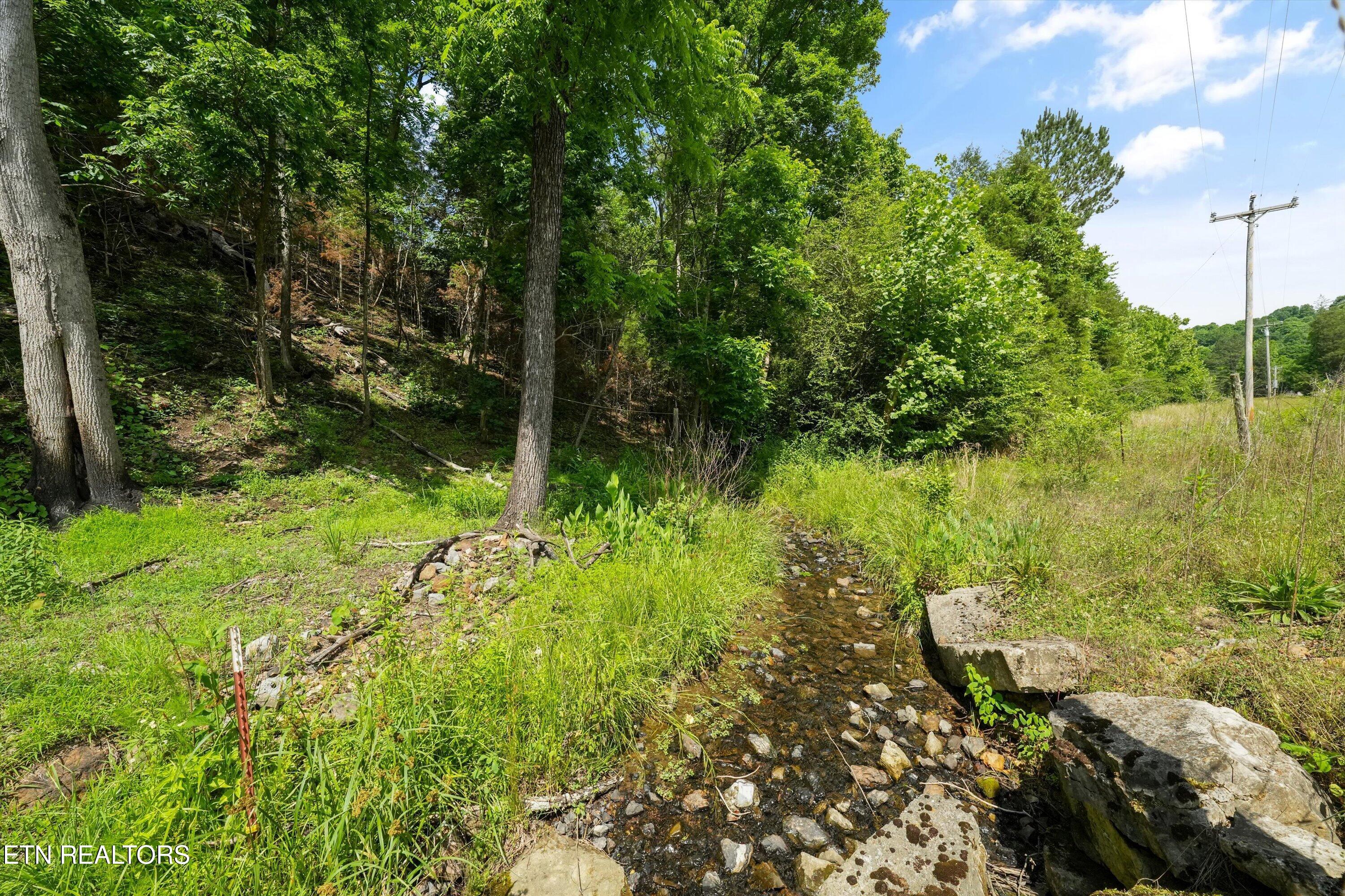 391 County Road 57 Riceville TN 37370