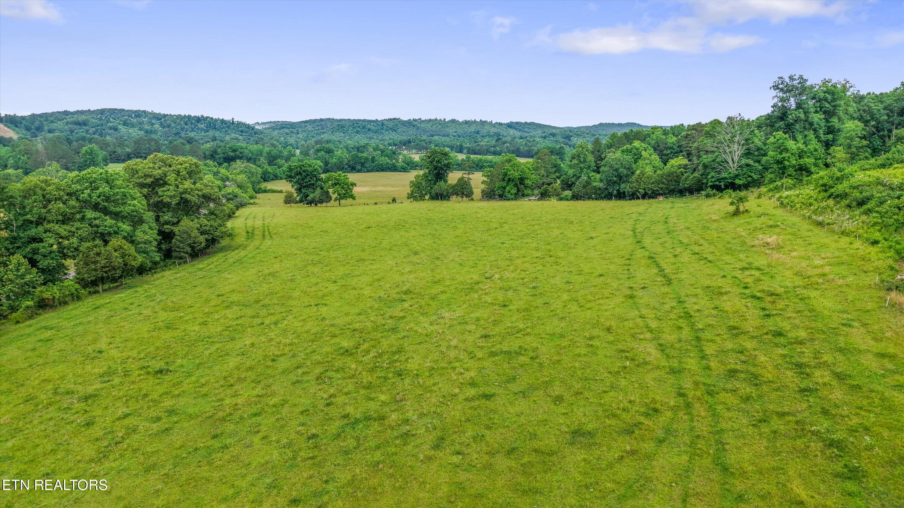 391 County Road 57 Riceville TN 37370
