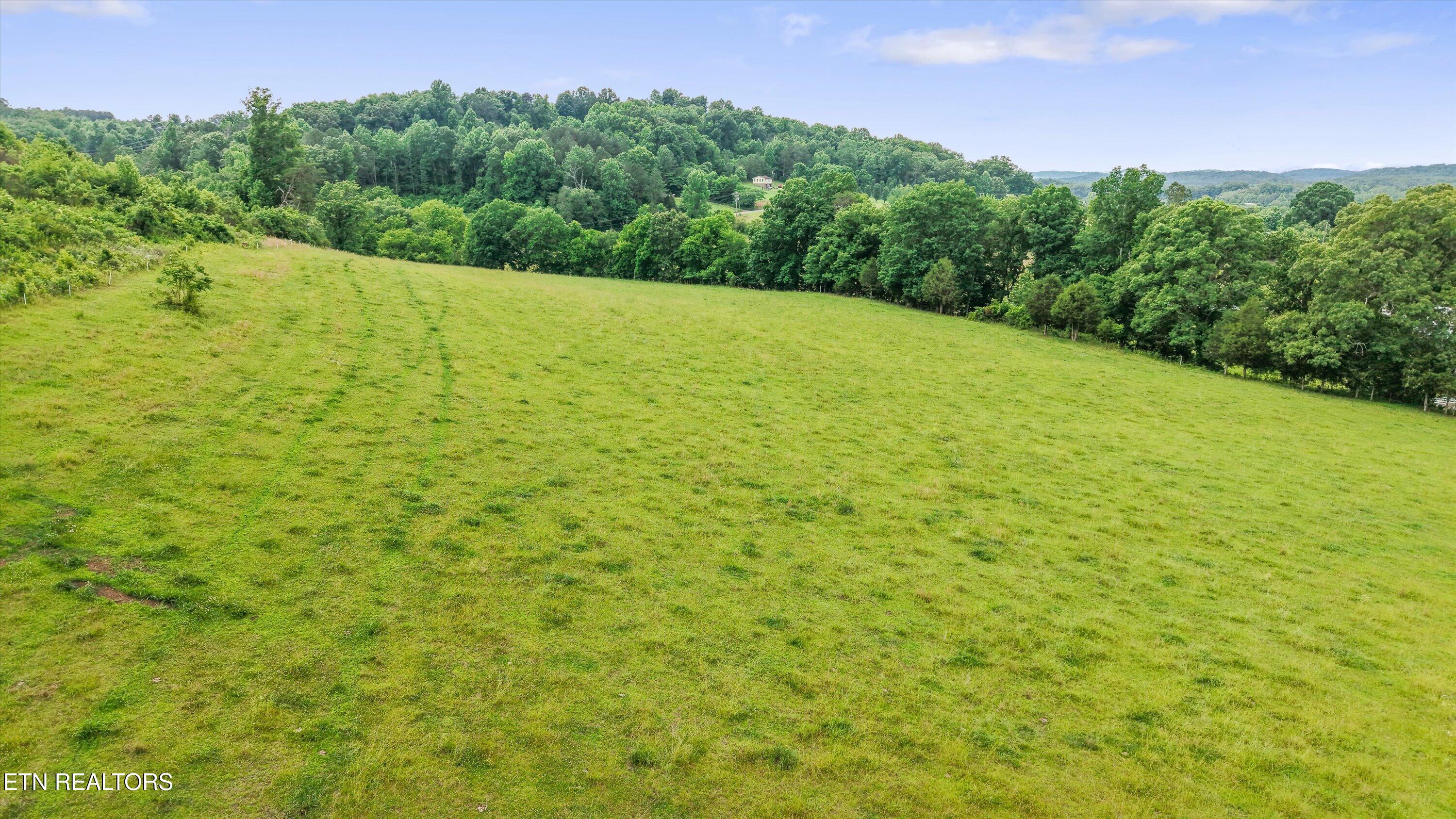 391 County Road 57 Riceville TN 37370