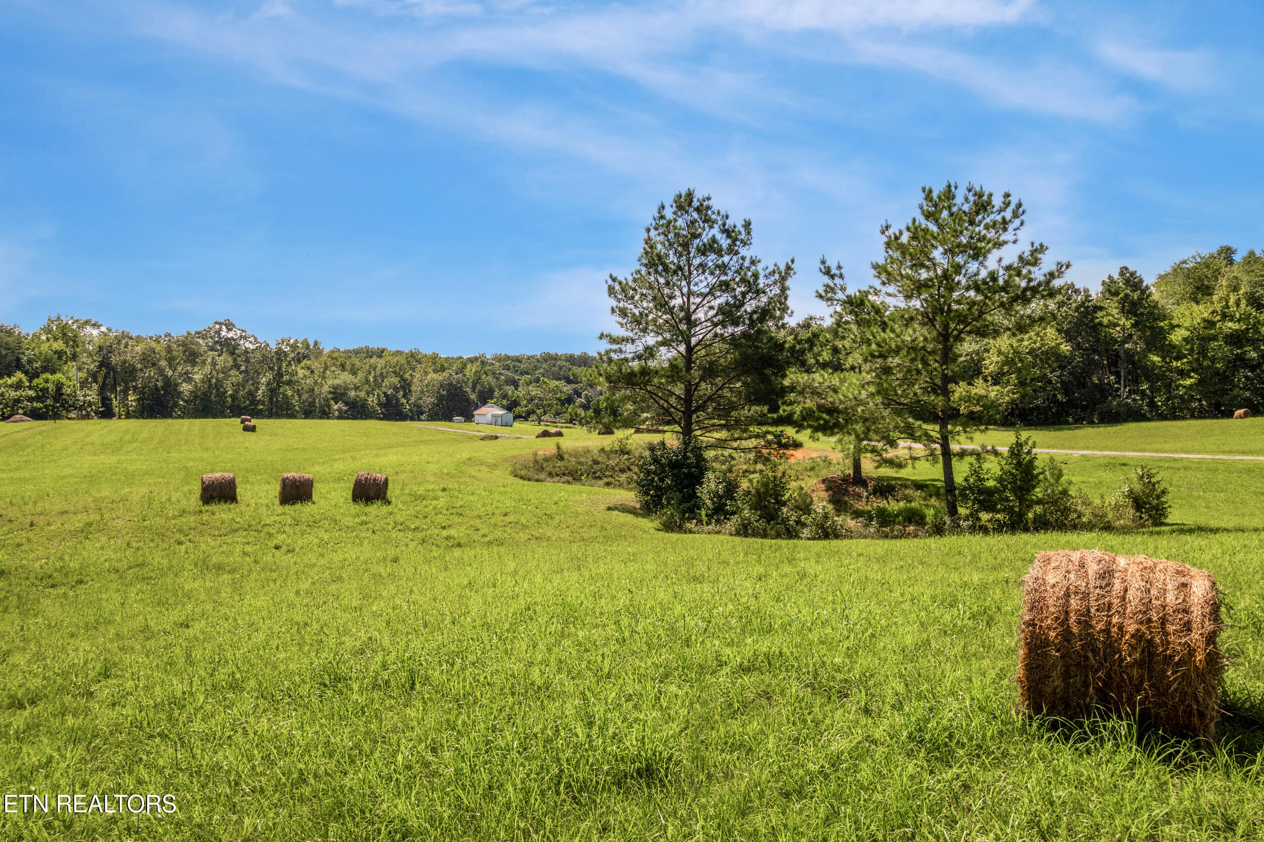 525 Basil Fugate Road Spring City TN 37381