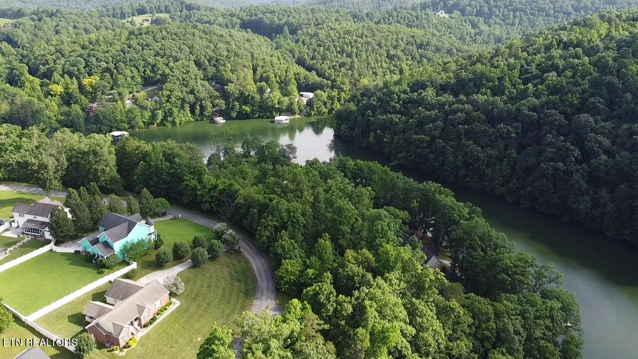 300 Bluff Trace Jacksboro TN 37757