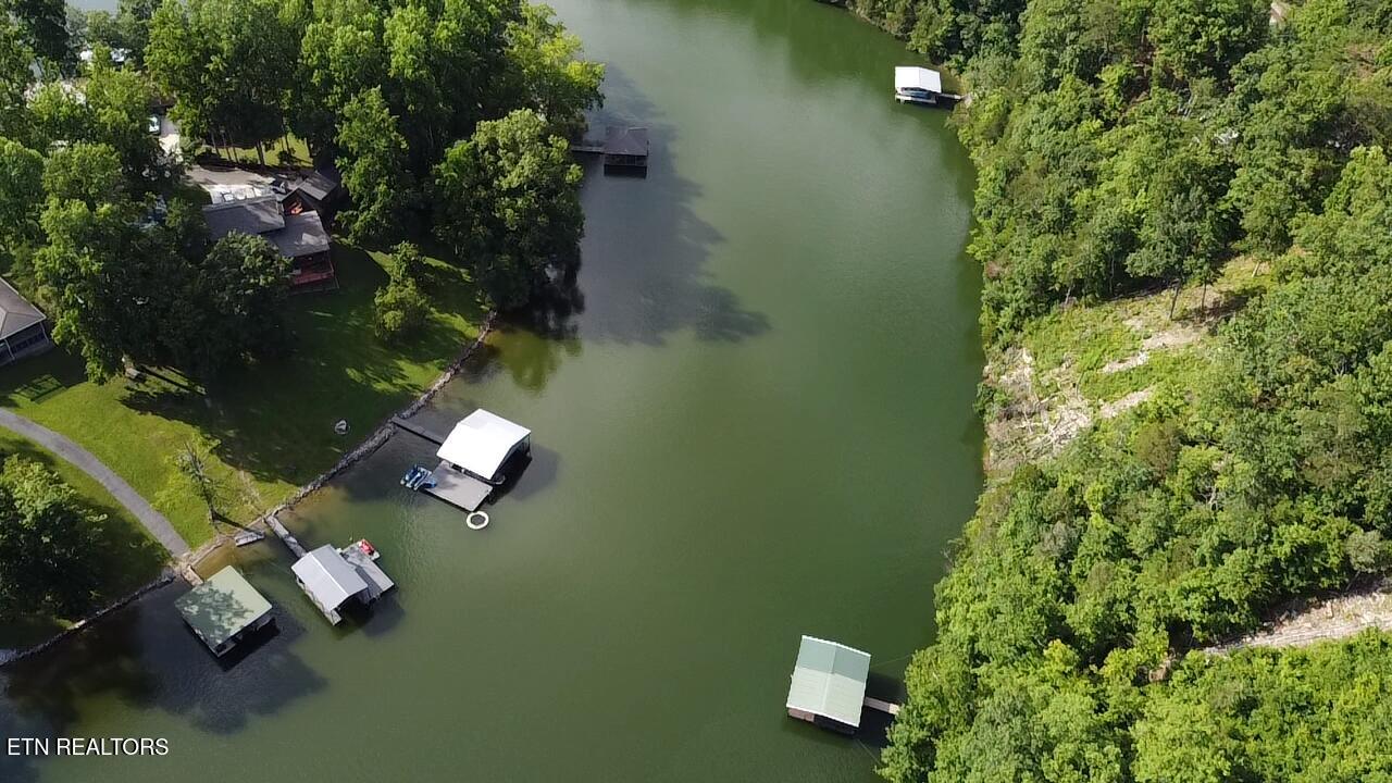 300 Bluff Trace Jacksboro TN 37757