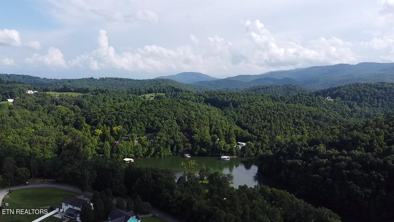 300 Bluff Trace Jacksboro TN 37757