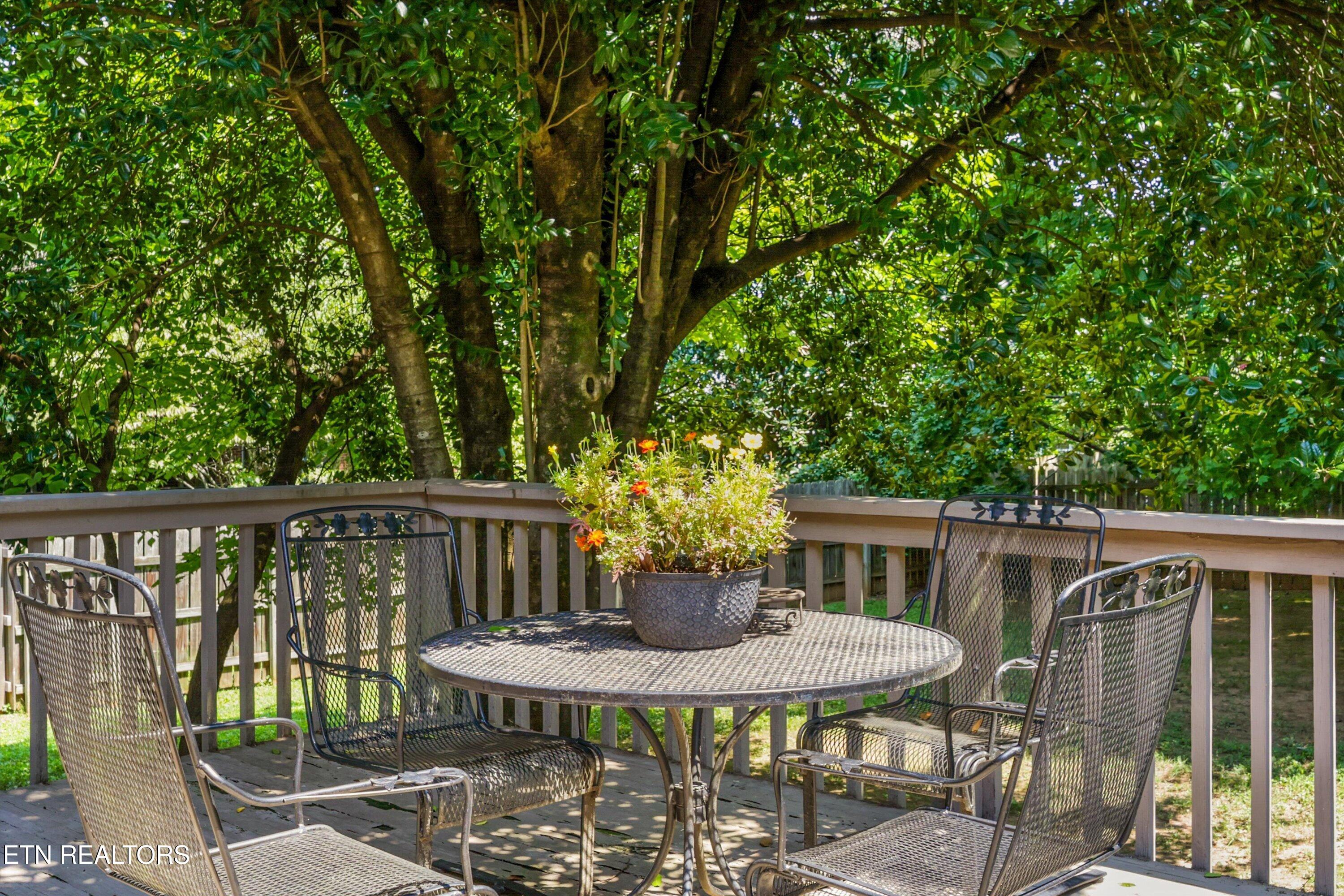 204 Battery Hill Circle Knoxville TN 37934