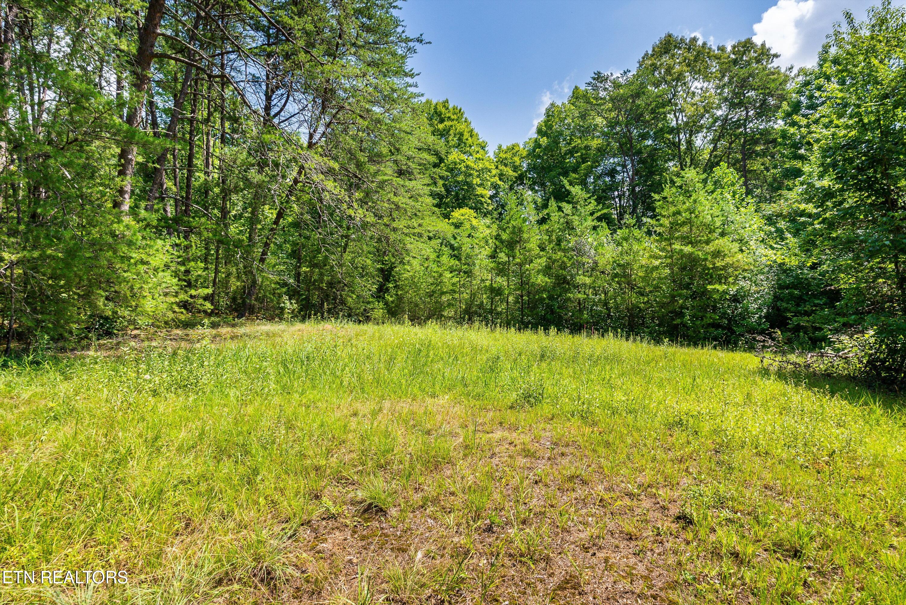 3754 Mutton Hollow Road Maryville TN 37803
