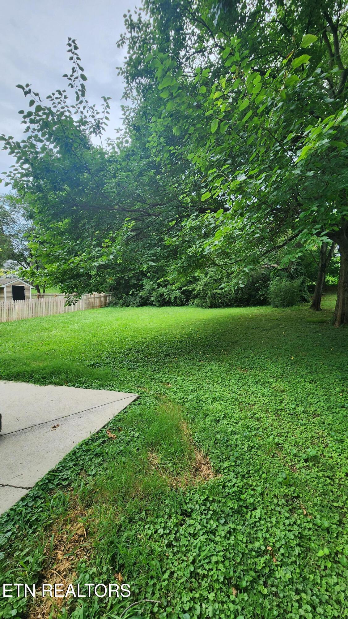 1409 Morningside Avenue Maryville TN 37804
