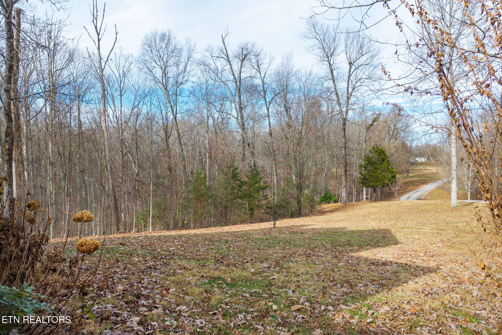 10739 Monterey Highway Monterey TN 38574