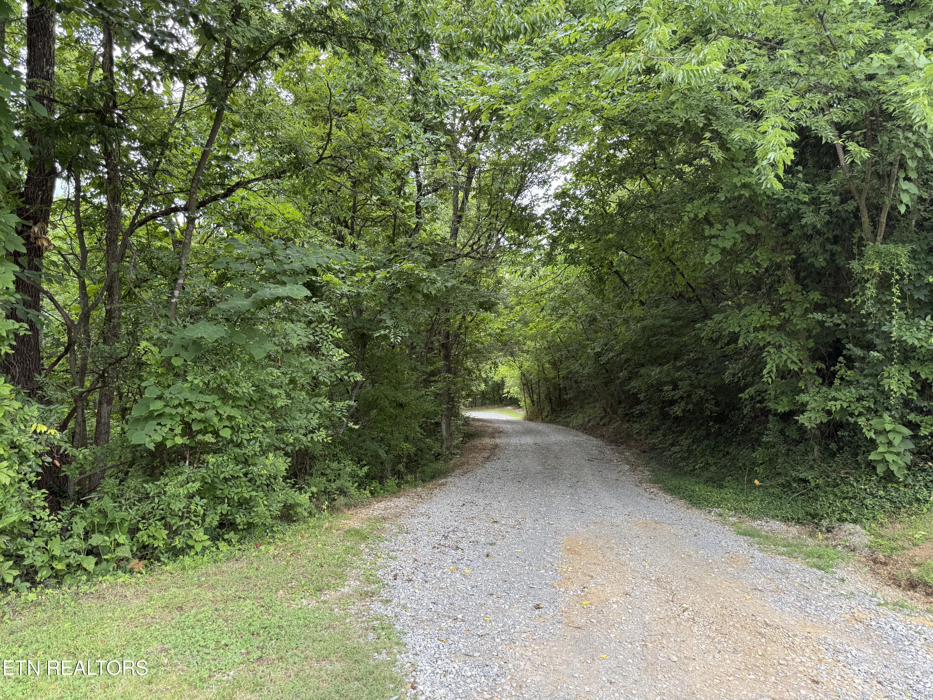 507 Peacock Way Parrottsville TN 37843