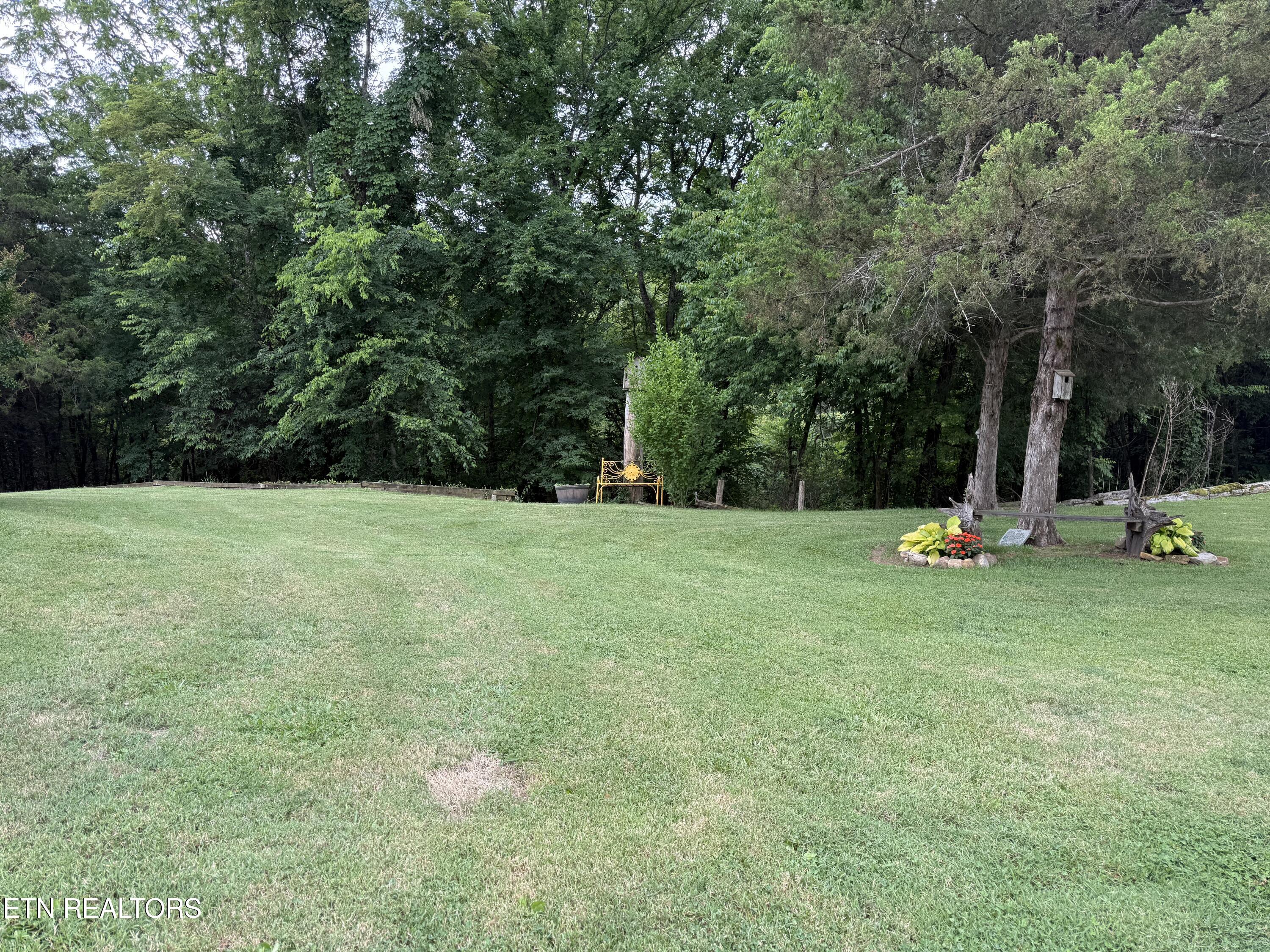 507 Peacock Way Parrottsville TN 37843