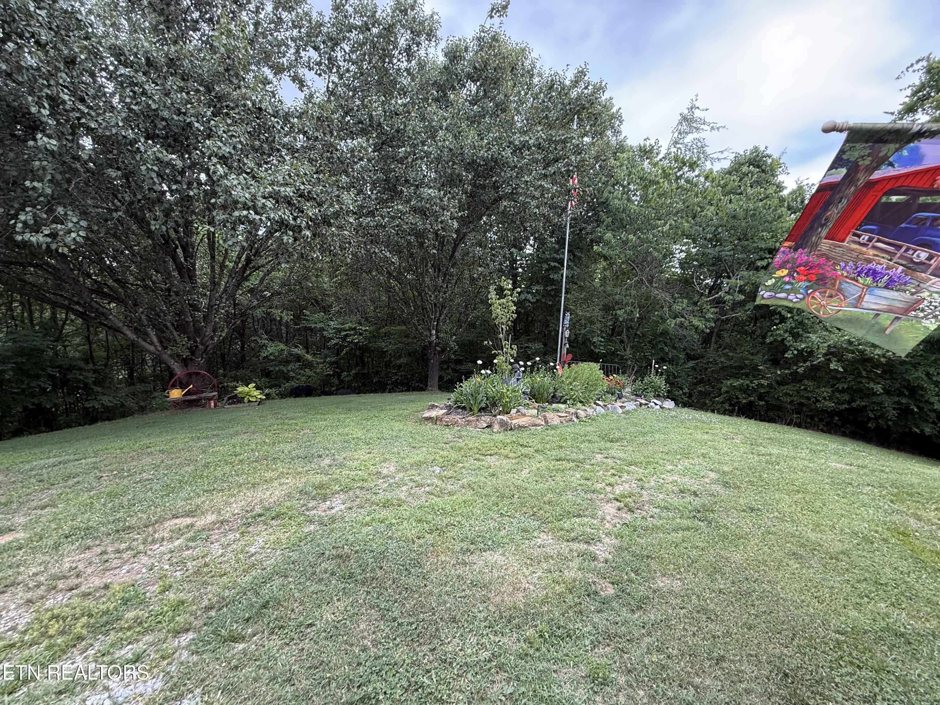 507 Peacock Way Parrottsville TN 37843