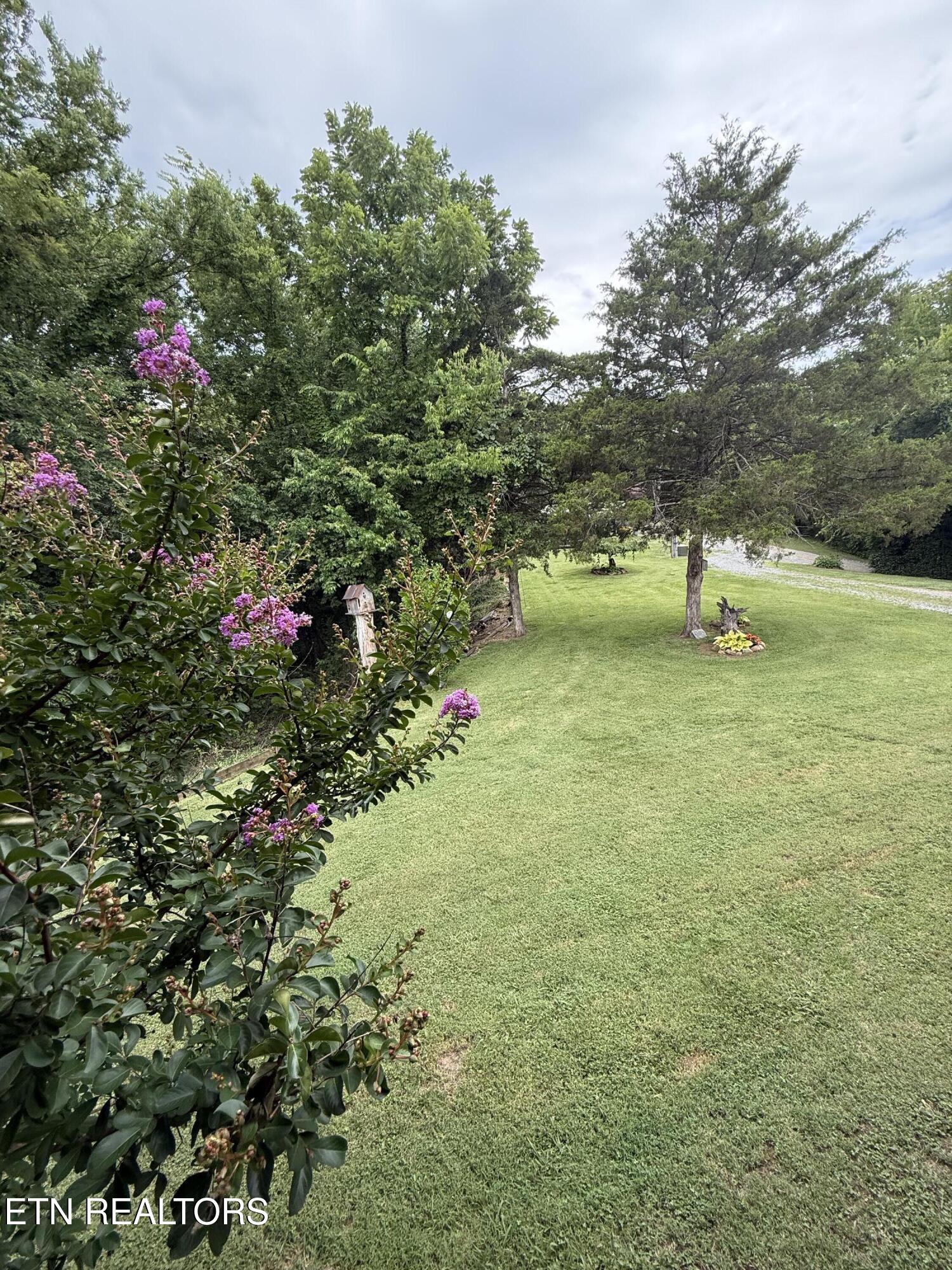507 Peacock Way Parrottsville TN 37843