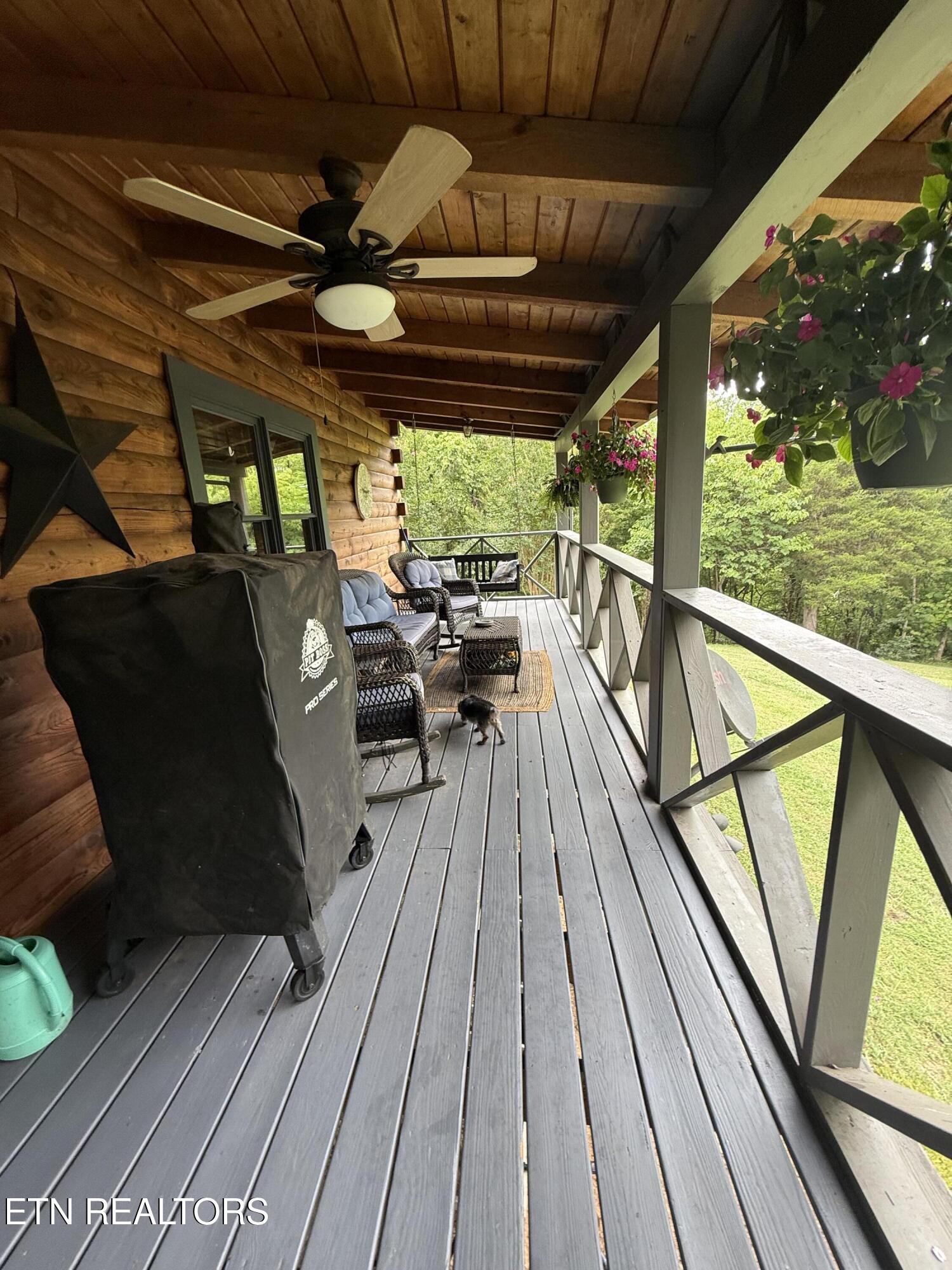 507 Peacock Way Parrottsville TN 37843
