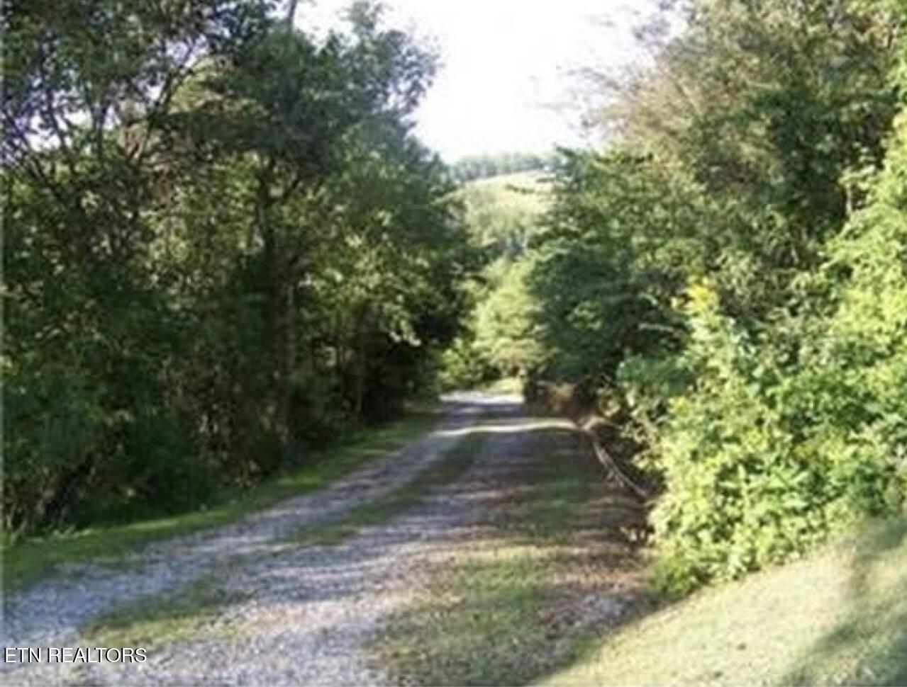 507 Peacock Way Parrottsville TN 37843