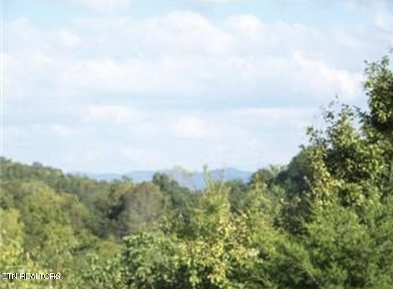 507 Peacock Way Parrottsville TN 37843