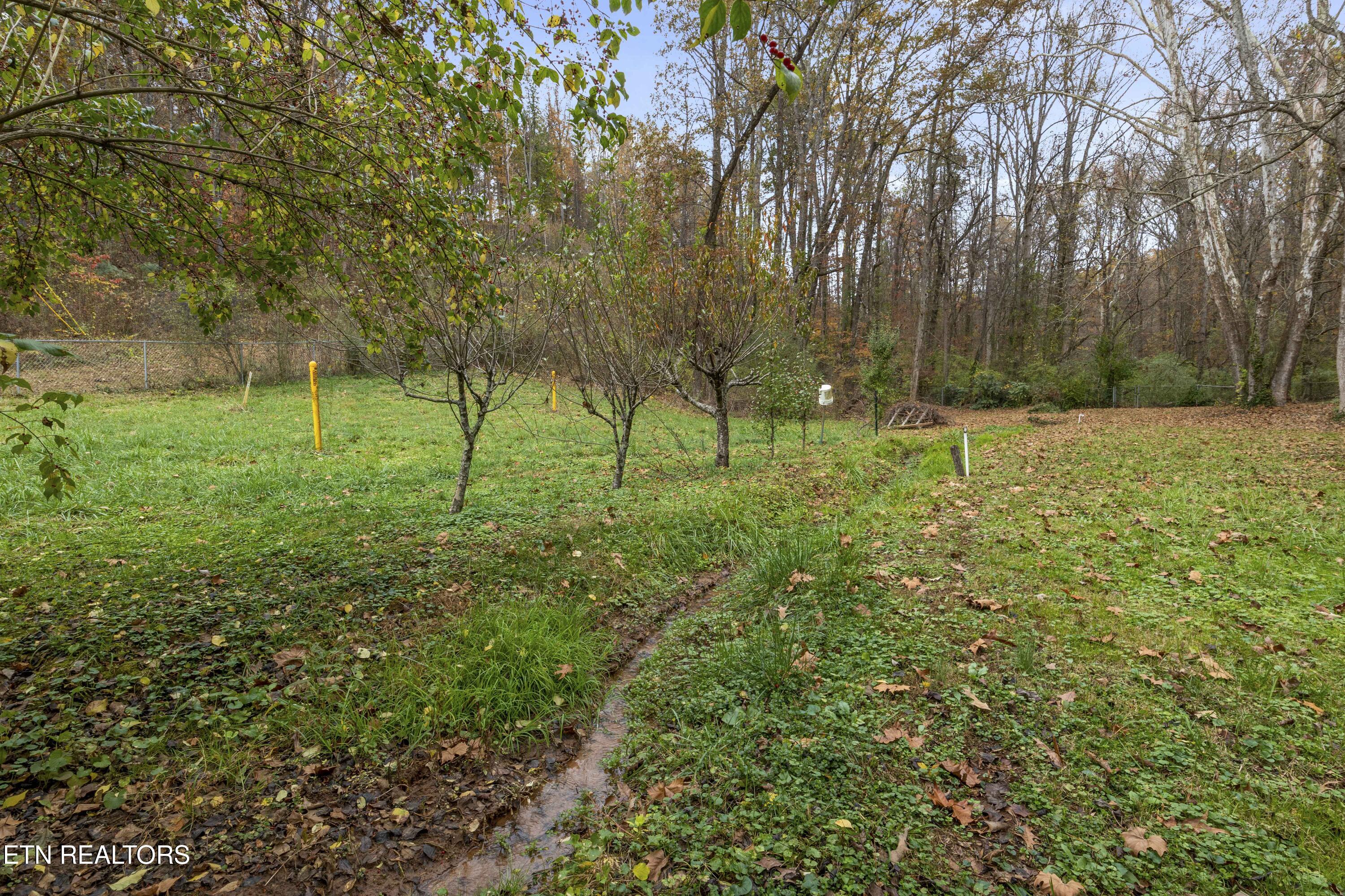 2025 Woodson Drive Knoxville TN 37920