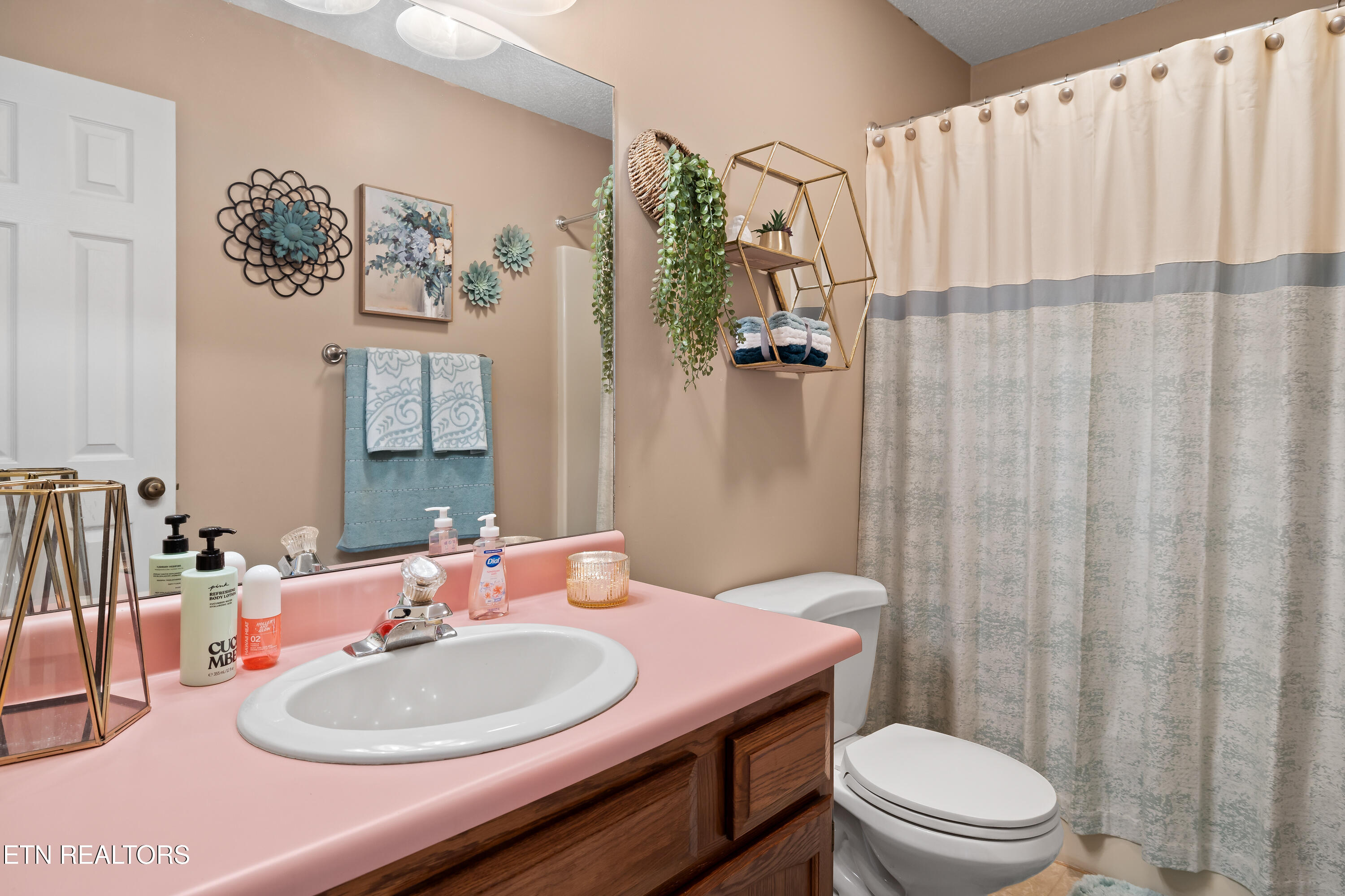 319 S Coleman Drive Maryville TN 37803