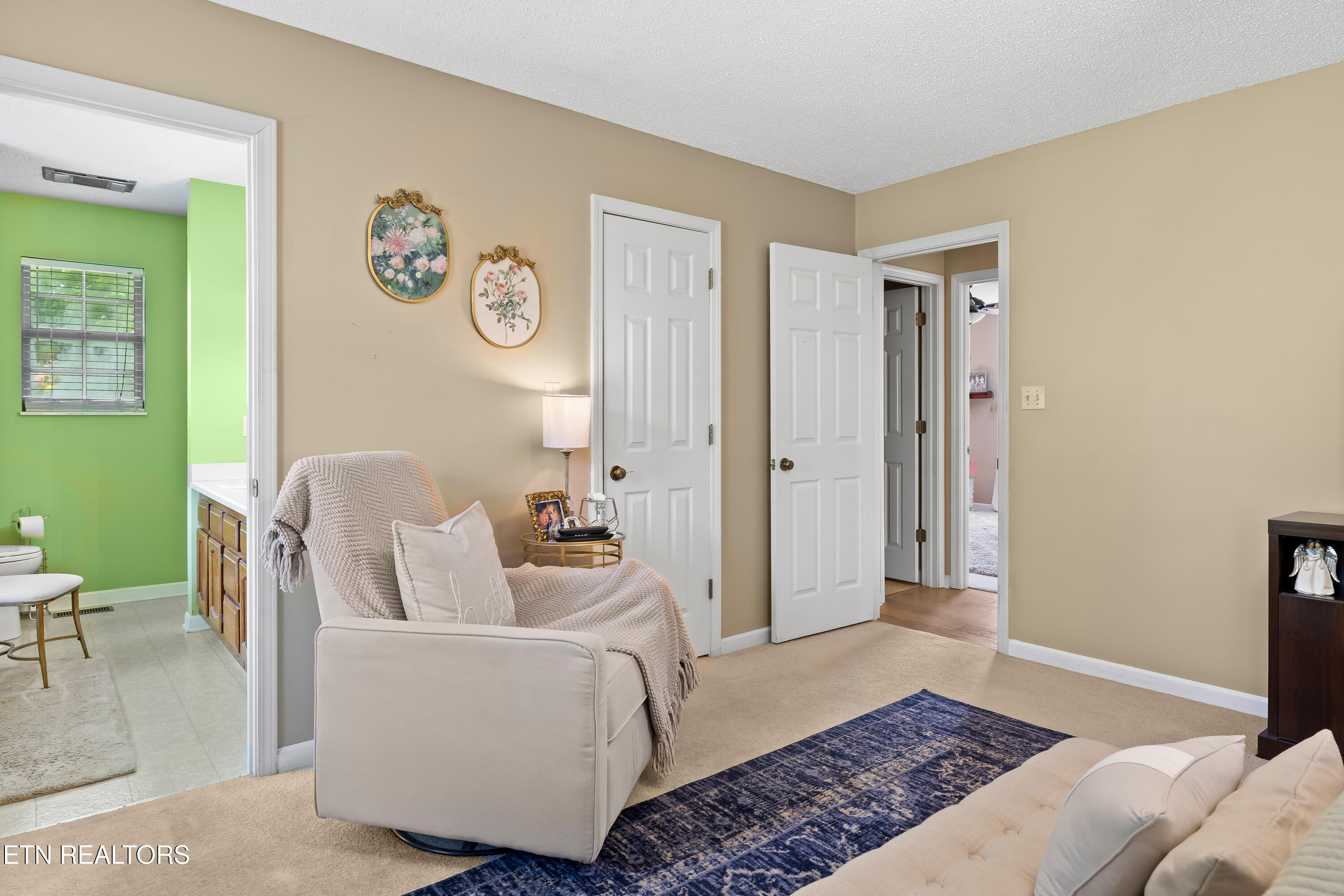 319 S Coleman Drive Maryville TN 37803