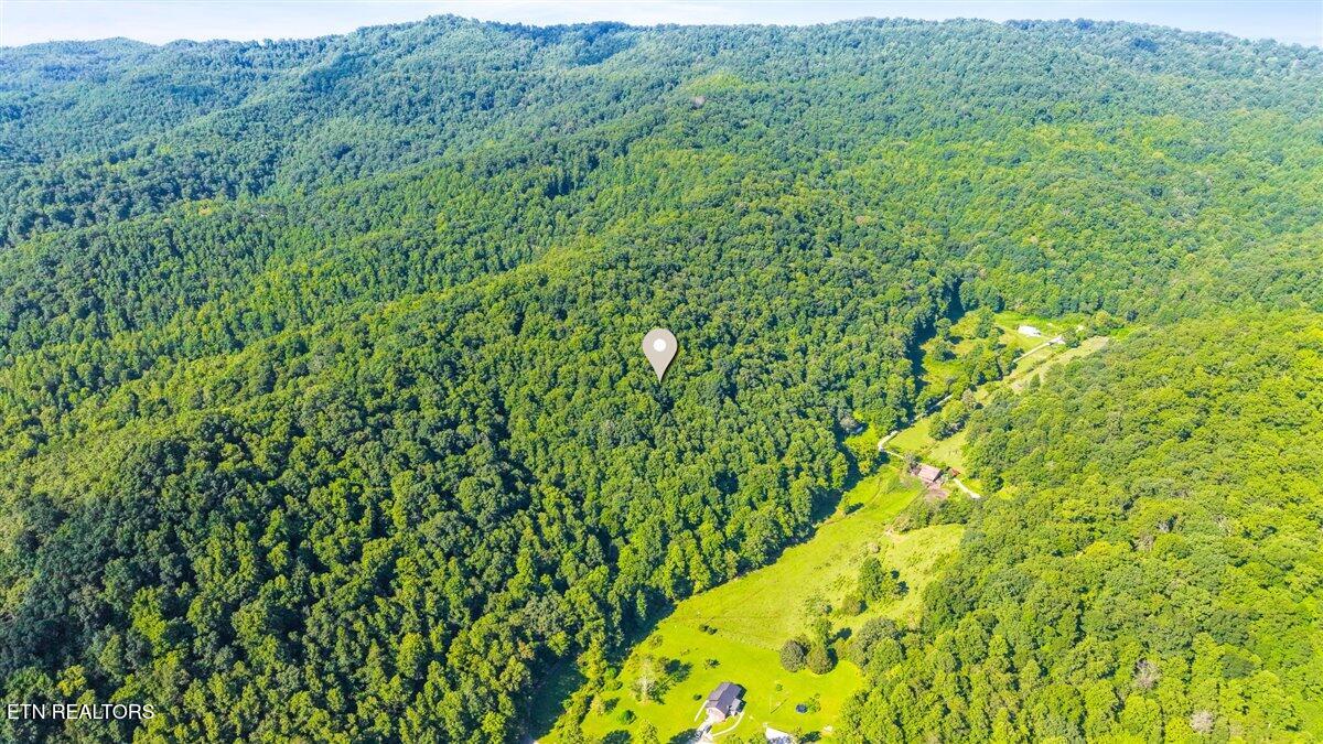 259 Walden Hollow Lane Lafollette TN 37766