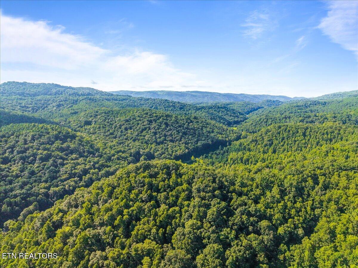 259 Walden Hollow Lane Lafollette TN 37766