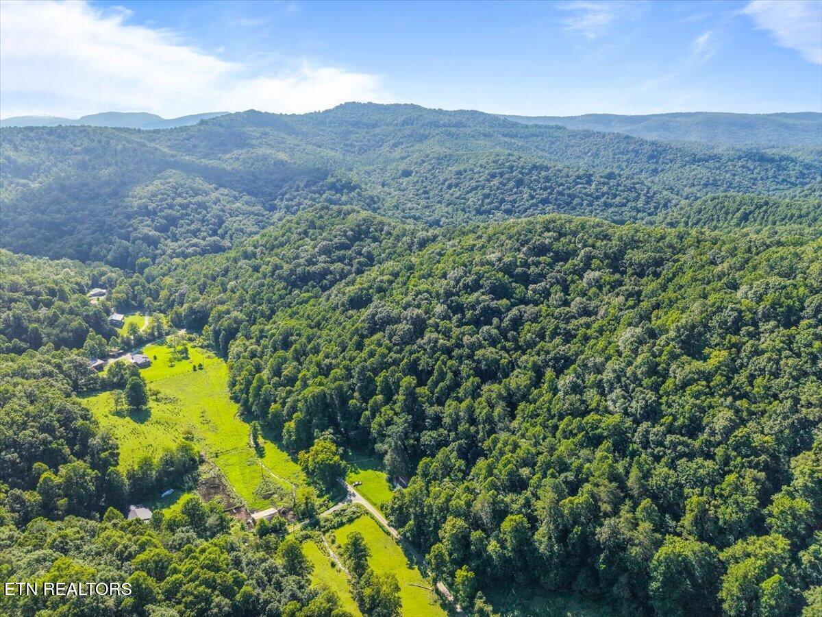 259 Walden Hollow Lane Lafollette TN 37766