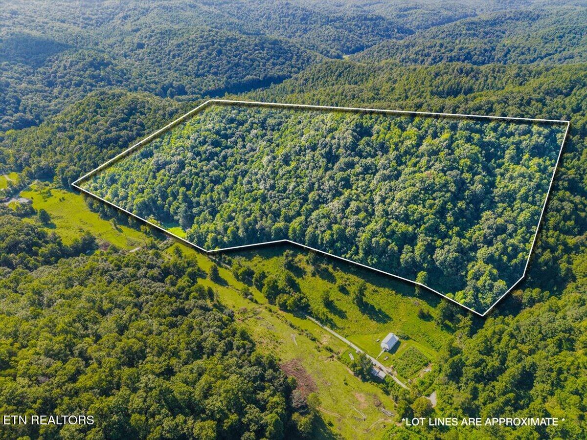259 Walden Hollow Lane Lafollette TN 37766