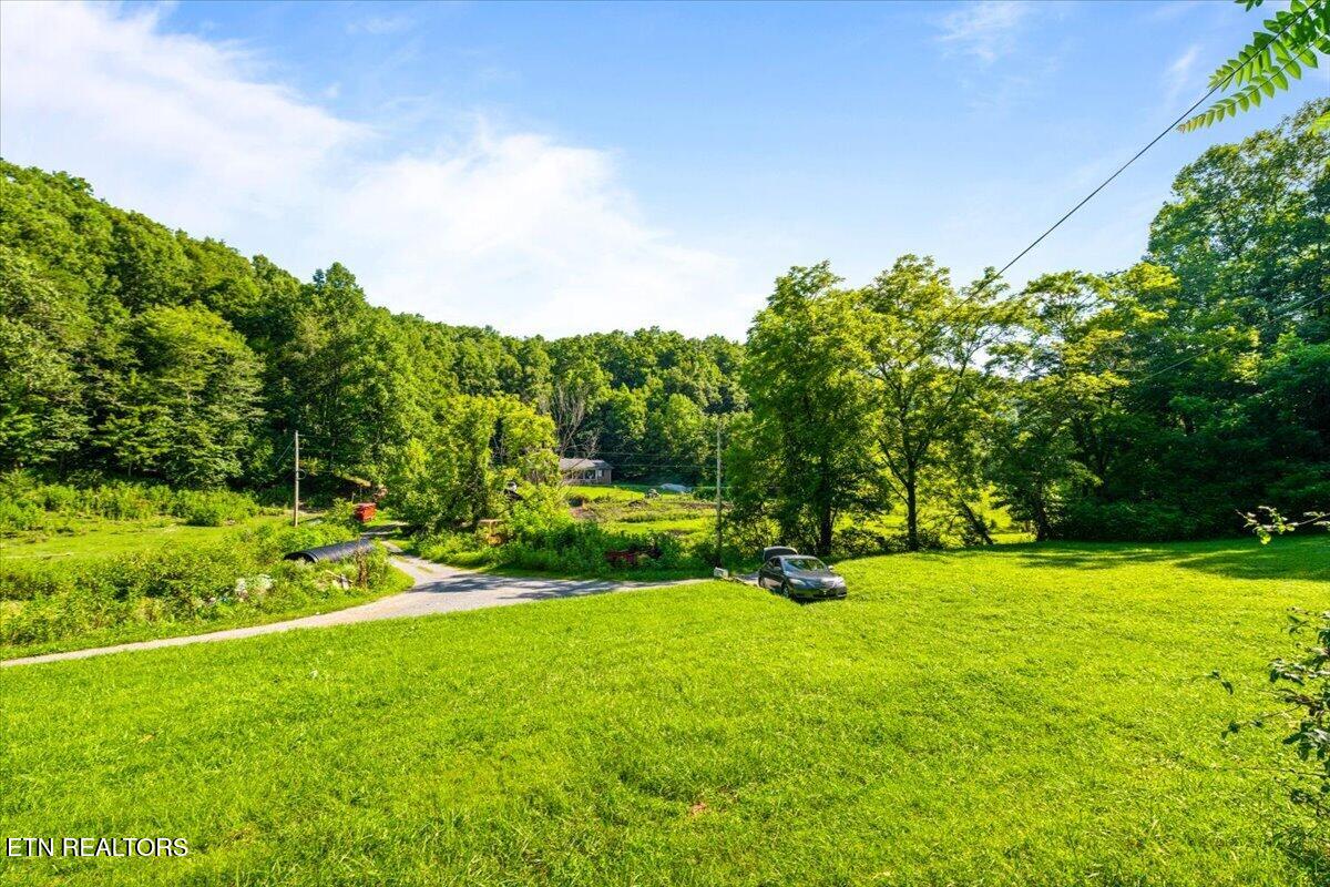 259 Walden Hollow Lane Lafollette TN 37766