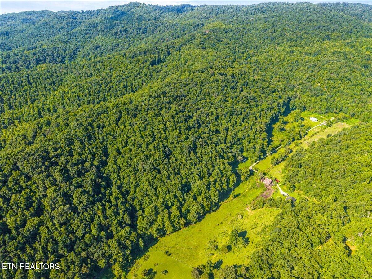 259 Walden Hollow Lane Lafollette TN 37766
