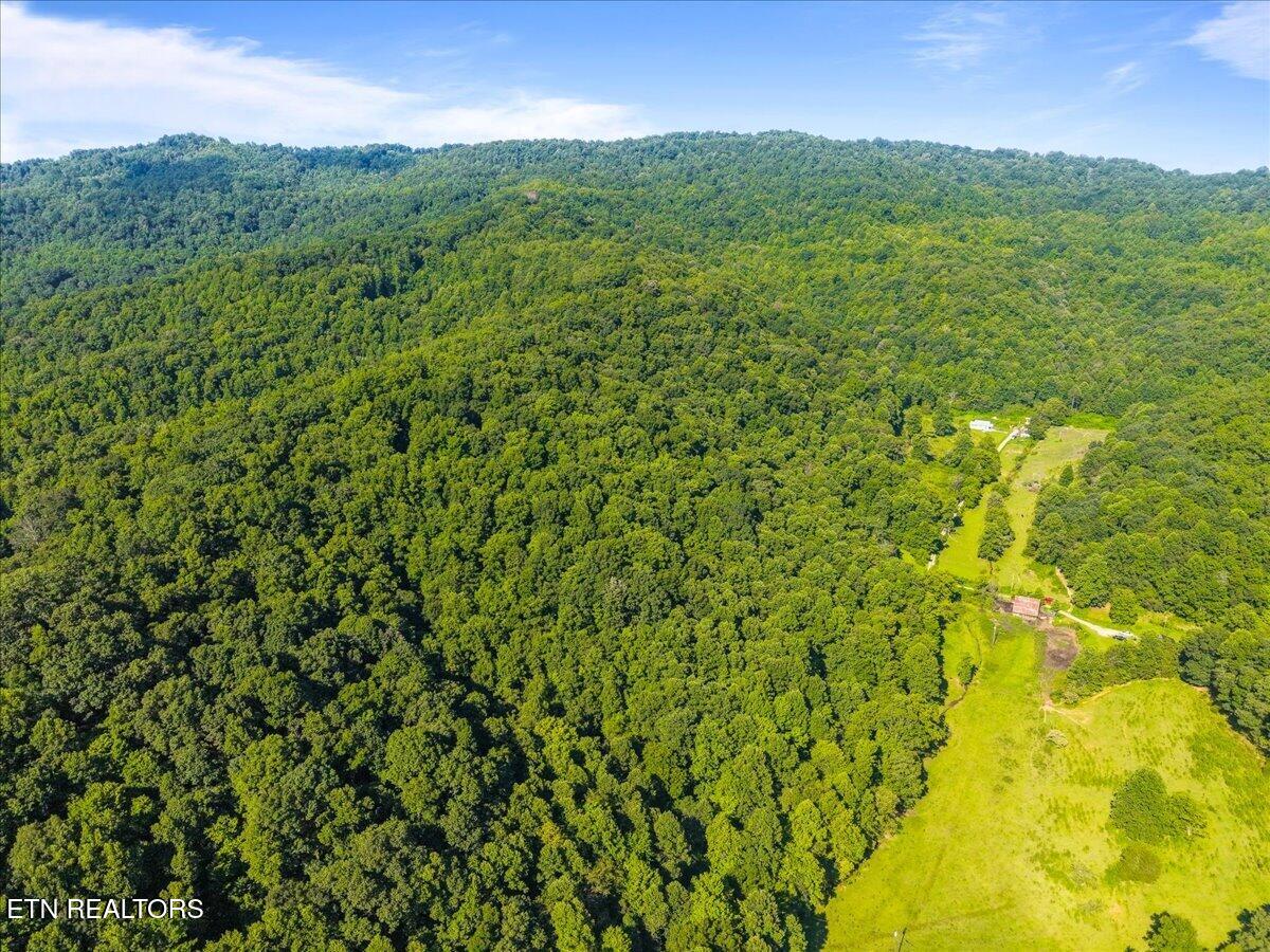 259 Walden Hollow Lane Lafollette TN 37766