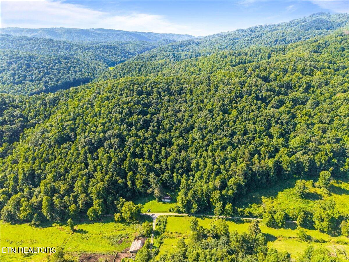 259 Walden Hollow Lane Lafollette TN 37766