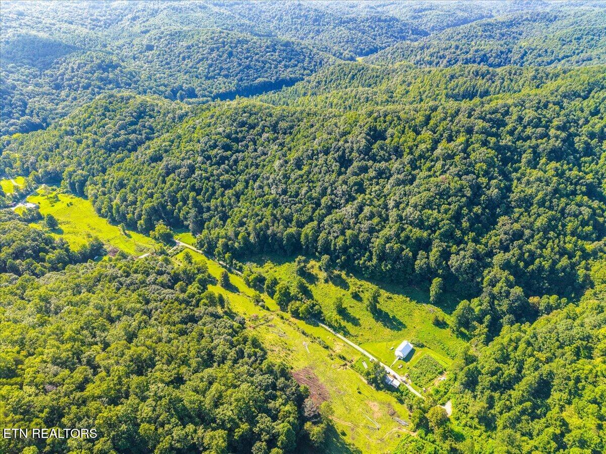 259 Walden Hollow Lane Lafollette TN 37766