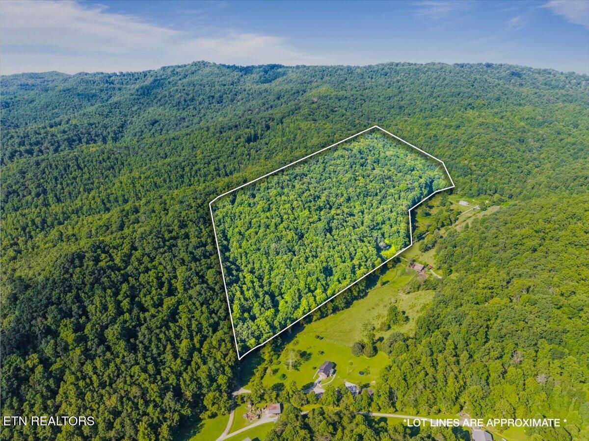 259 Walden Hollow Lane Lafollette TN 37766