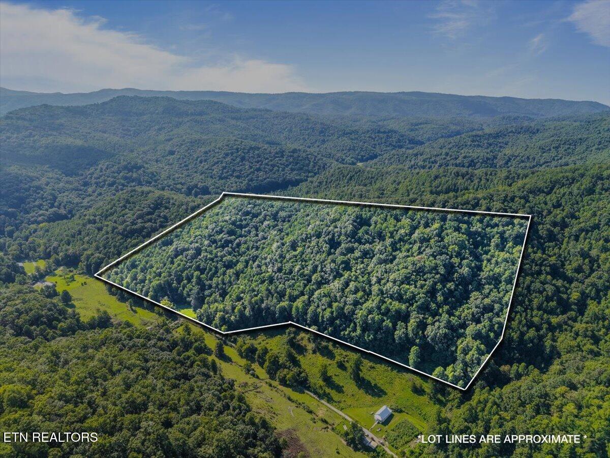 259 Walden Hollow Lane Lafollette TN 37766