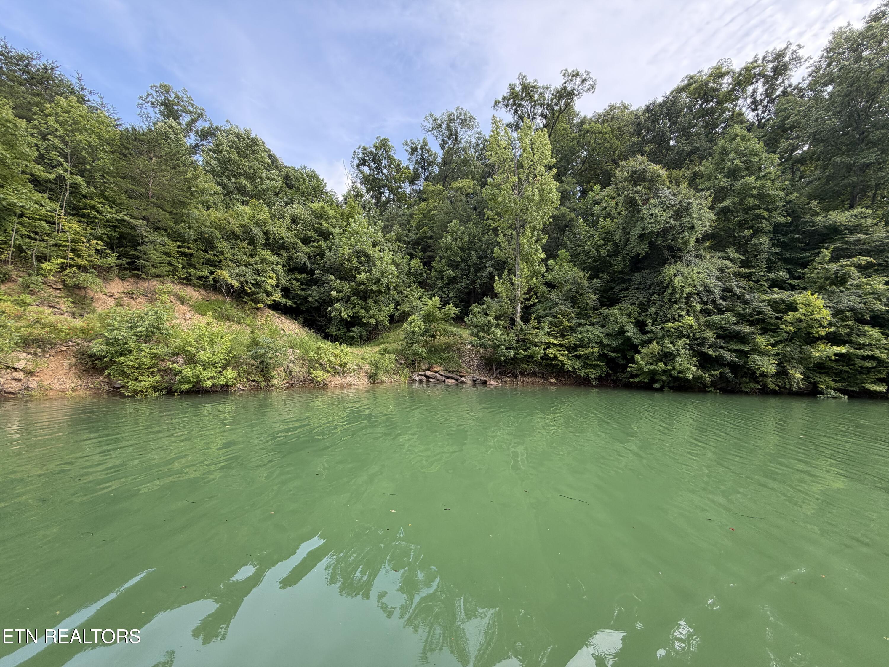 1225 Paradise Lane Dandridge TN 37725
