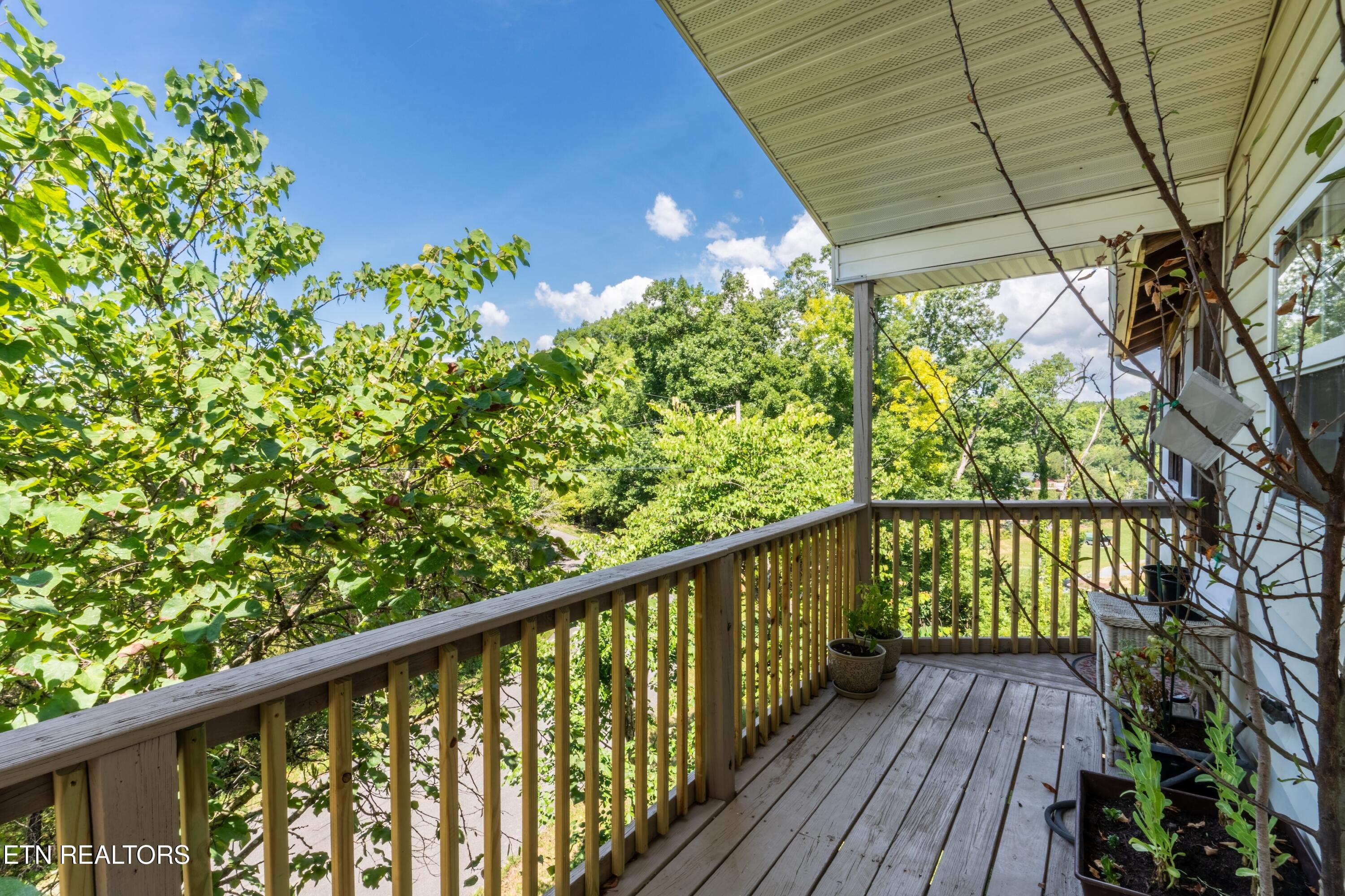 1225 Paradise Lane Dandridge TN 37725