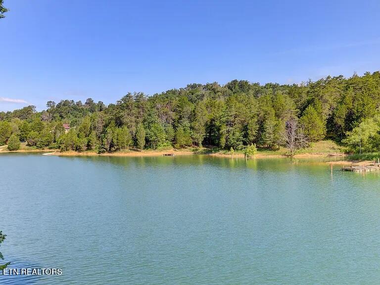 1225 Paradise Lane Dandridge TN 37725