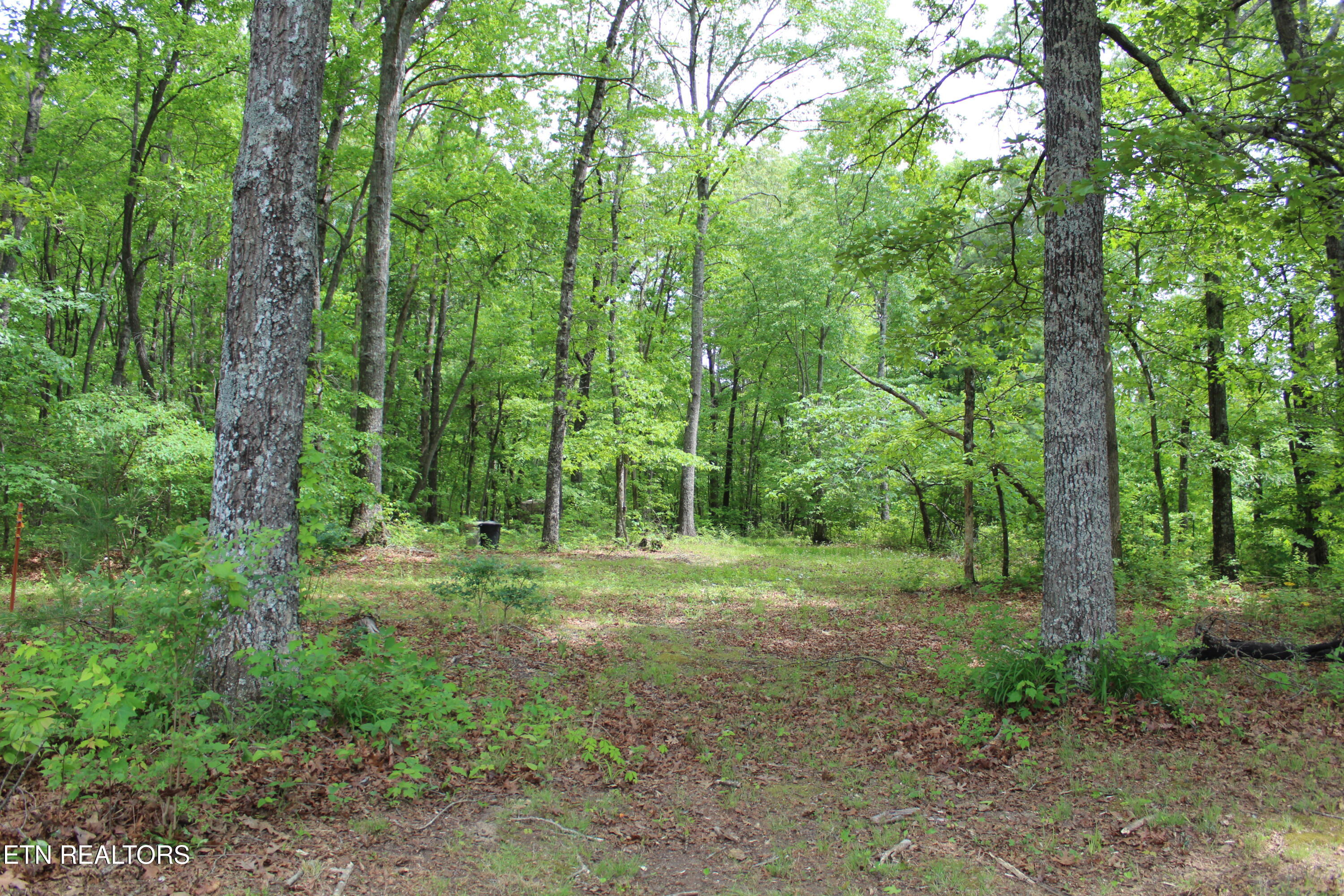 201 Hillsway Crossville TN 38555