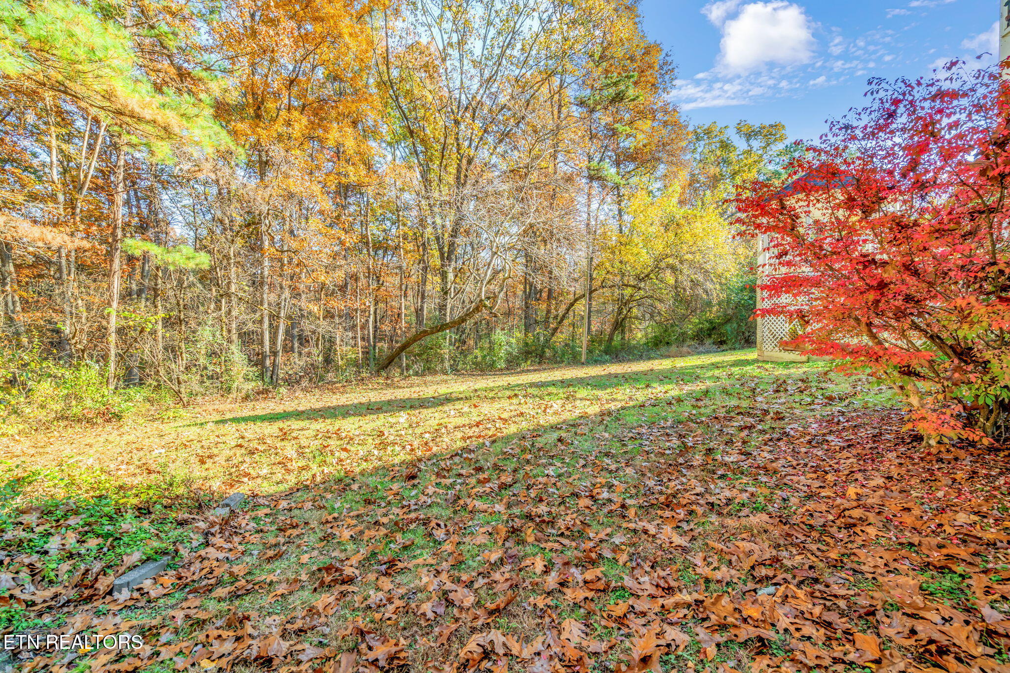 3607 Airport Road Rockwood TN 37854